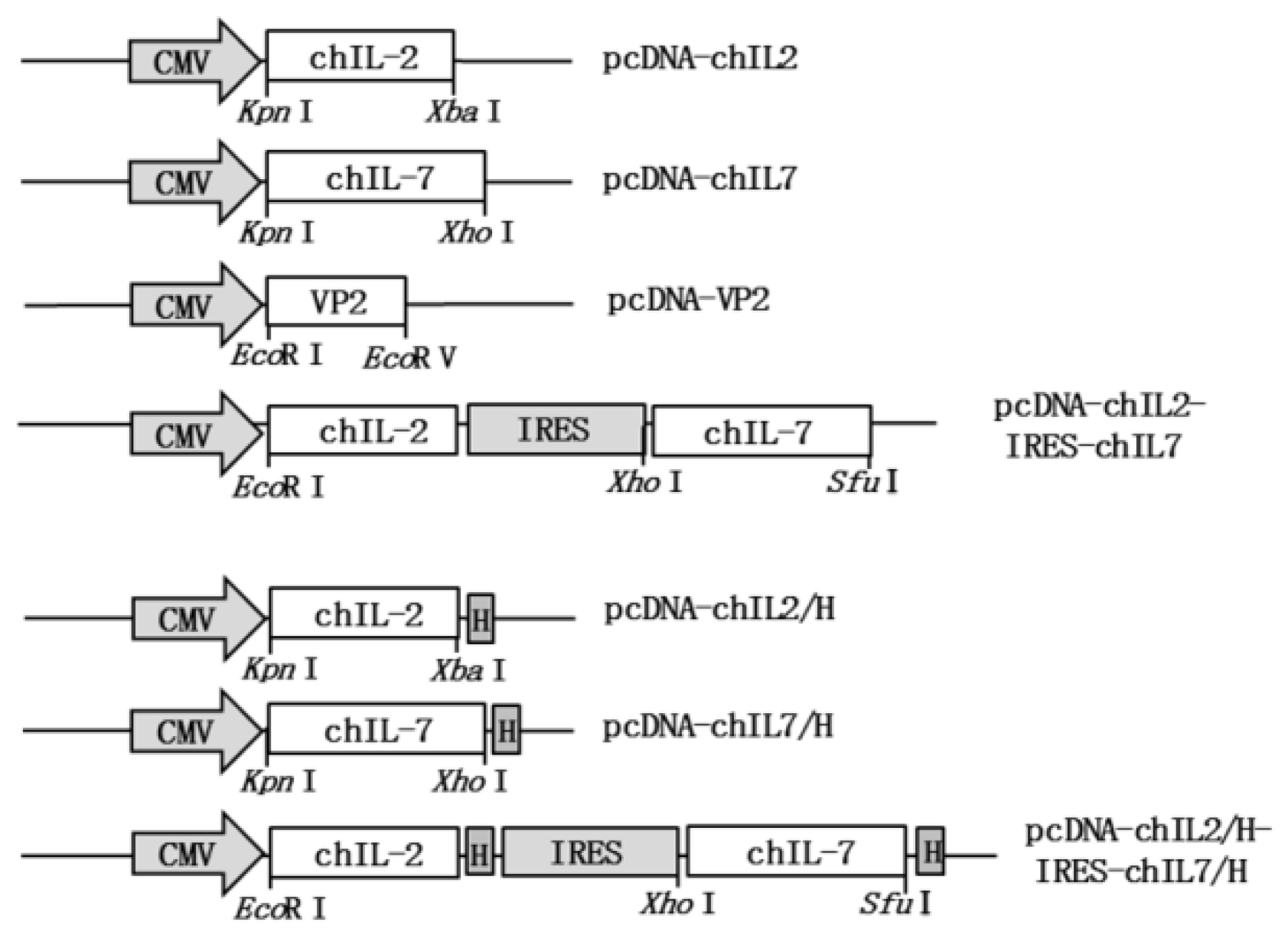 Viruses 11 00476 g002 Viruses 11 00476 g002