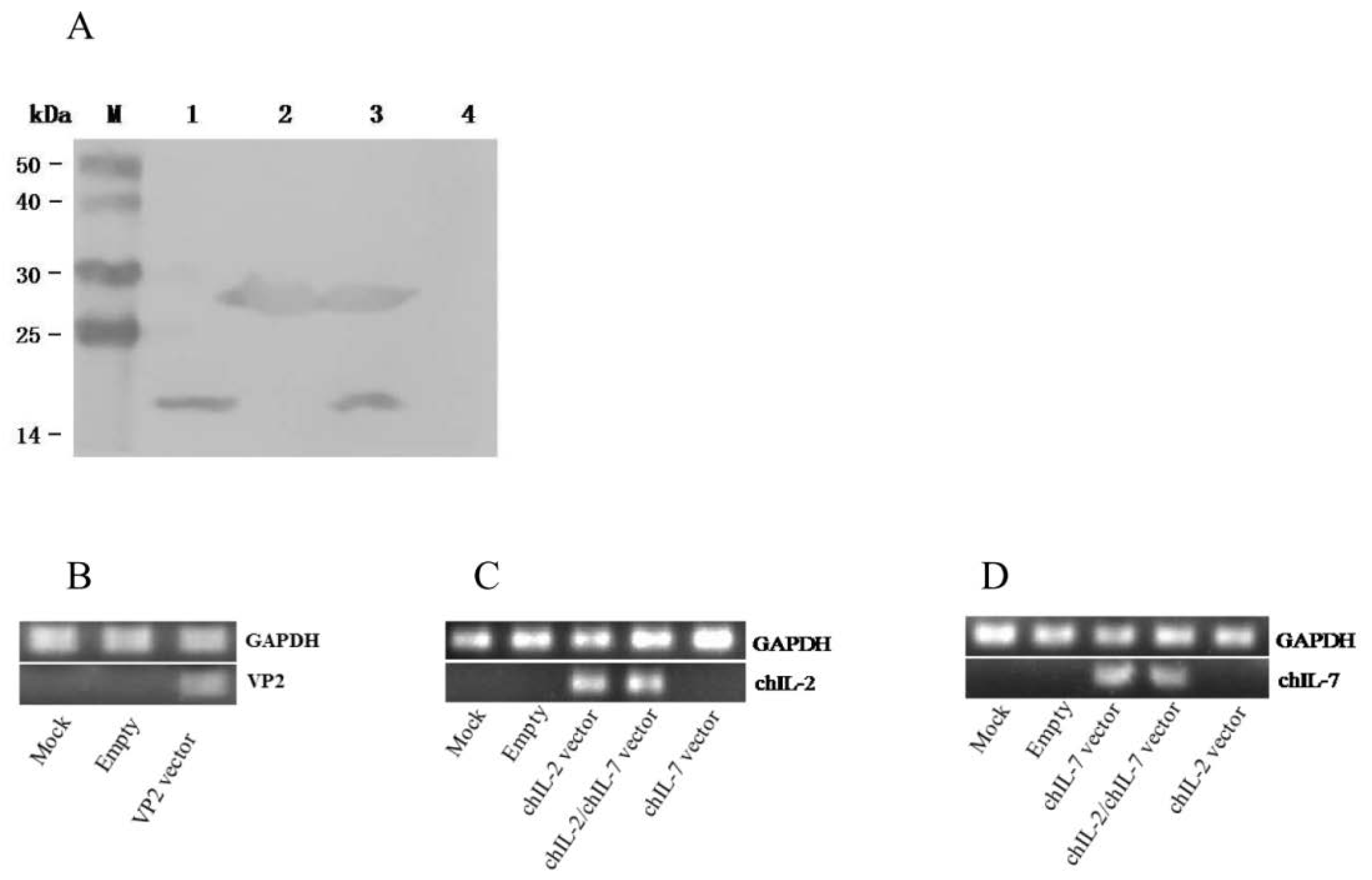 Viruses 11 00476 g003 Viruses 11 00476 g003