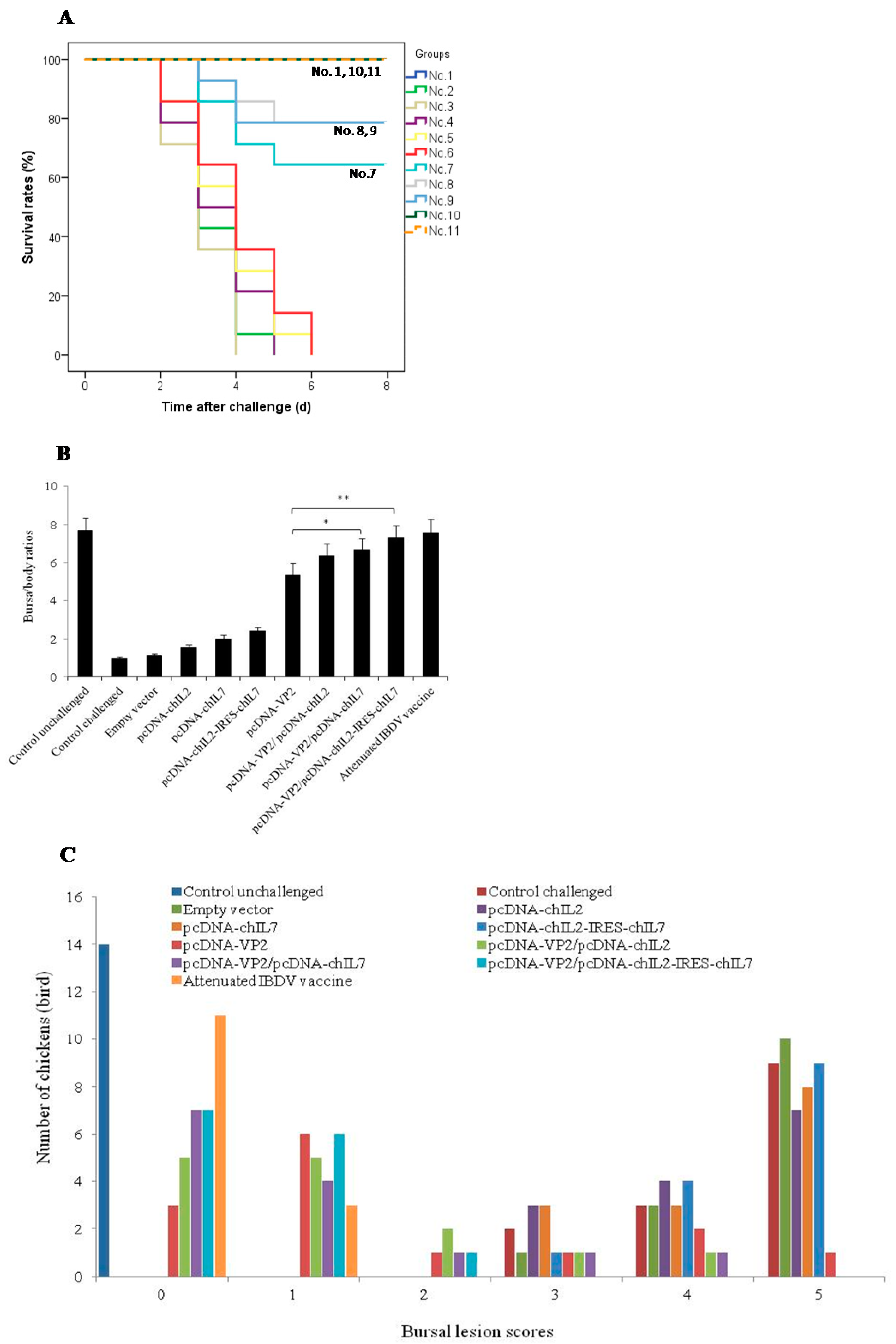 Viruses 11 00476 g006a Viruses 11 00476 g006a