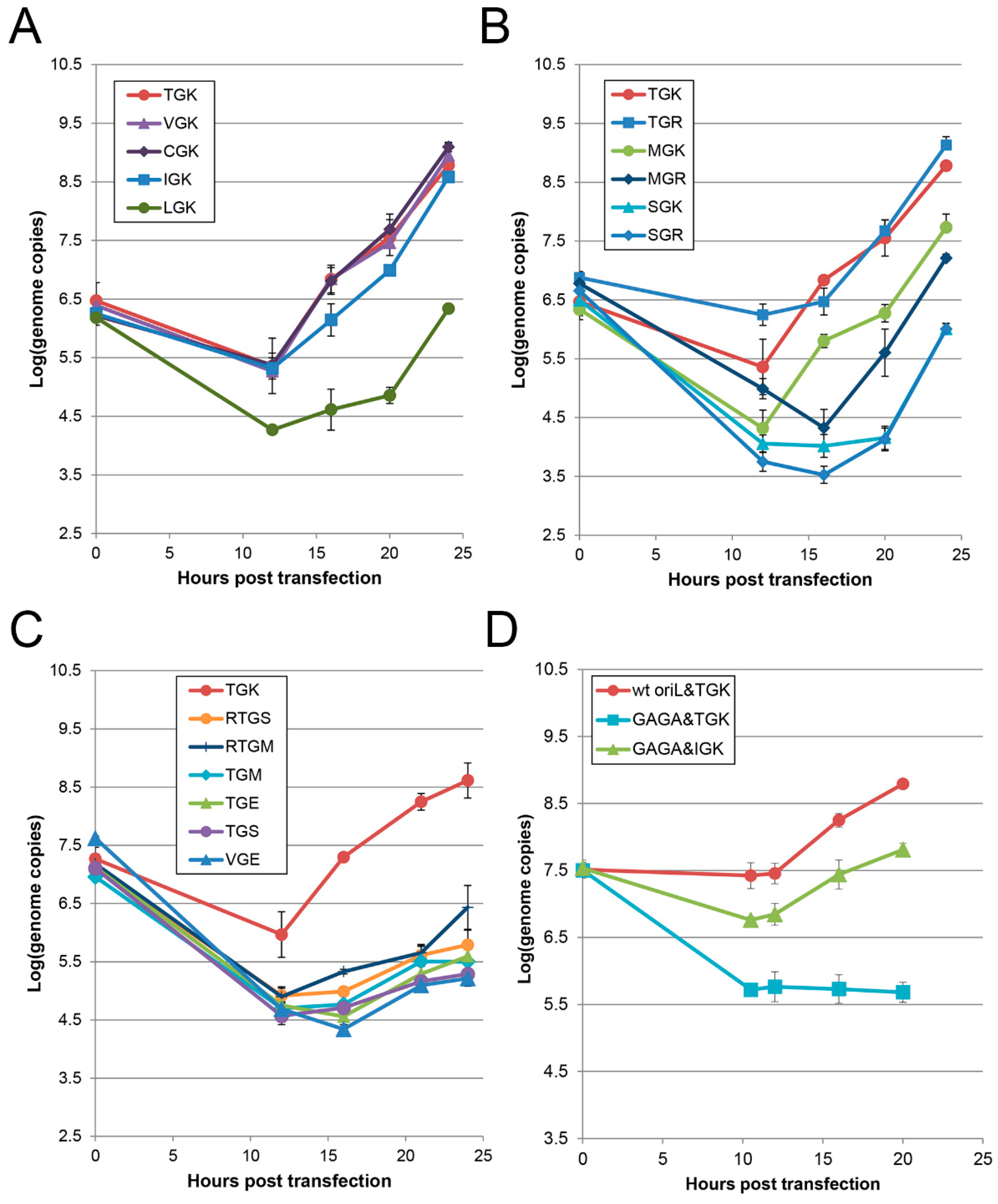 Viruses 11 00479 g006 Viruses 11 00479 g006