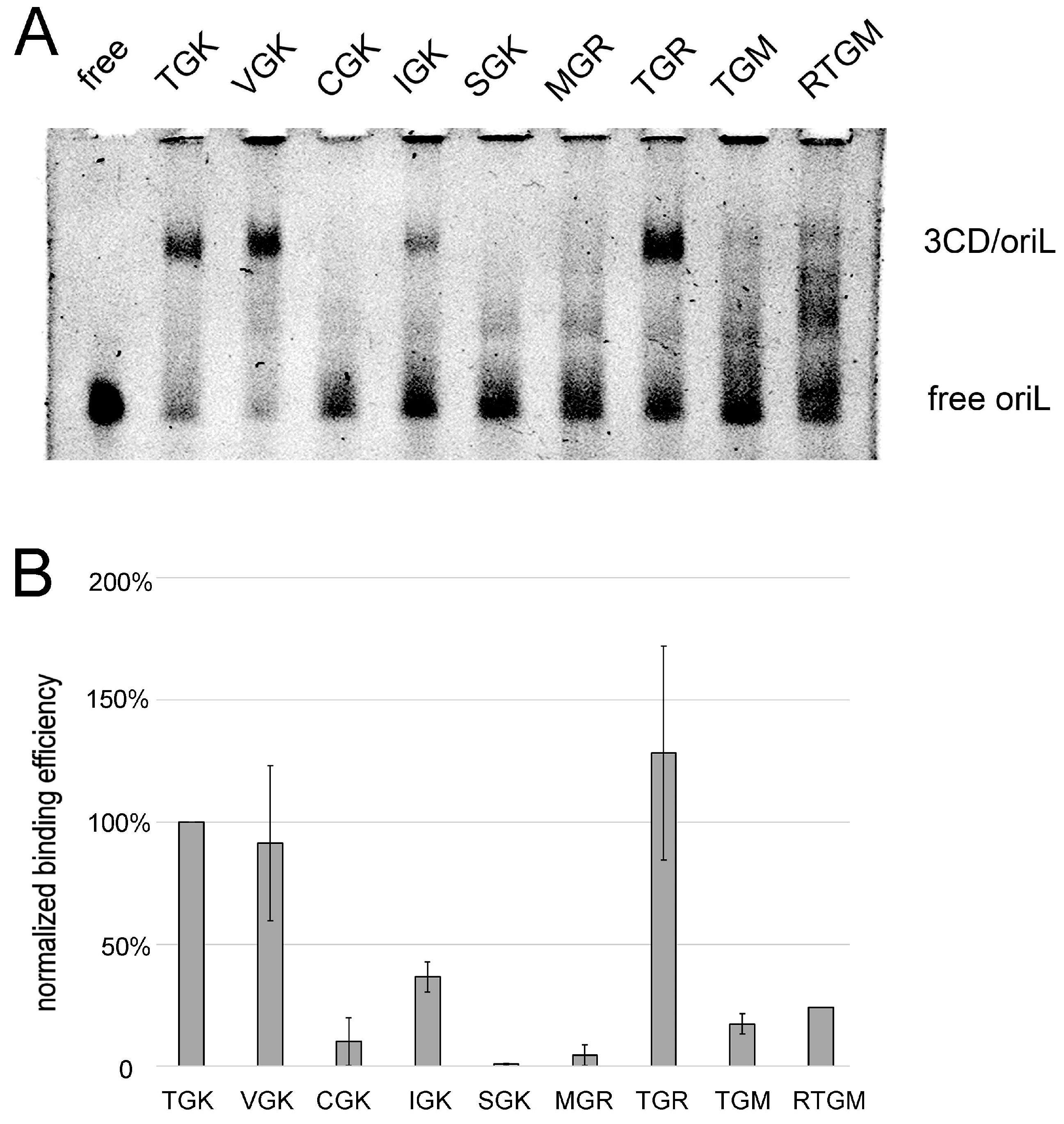 Viruses 11 00479 g007 Viruses 11 00479 g007