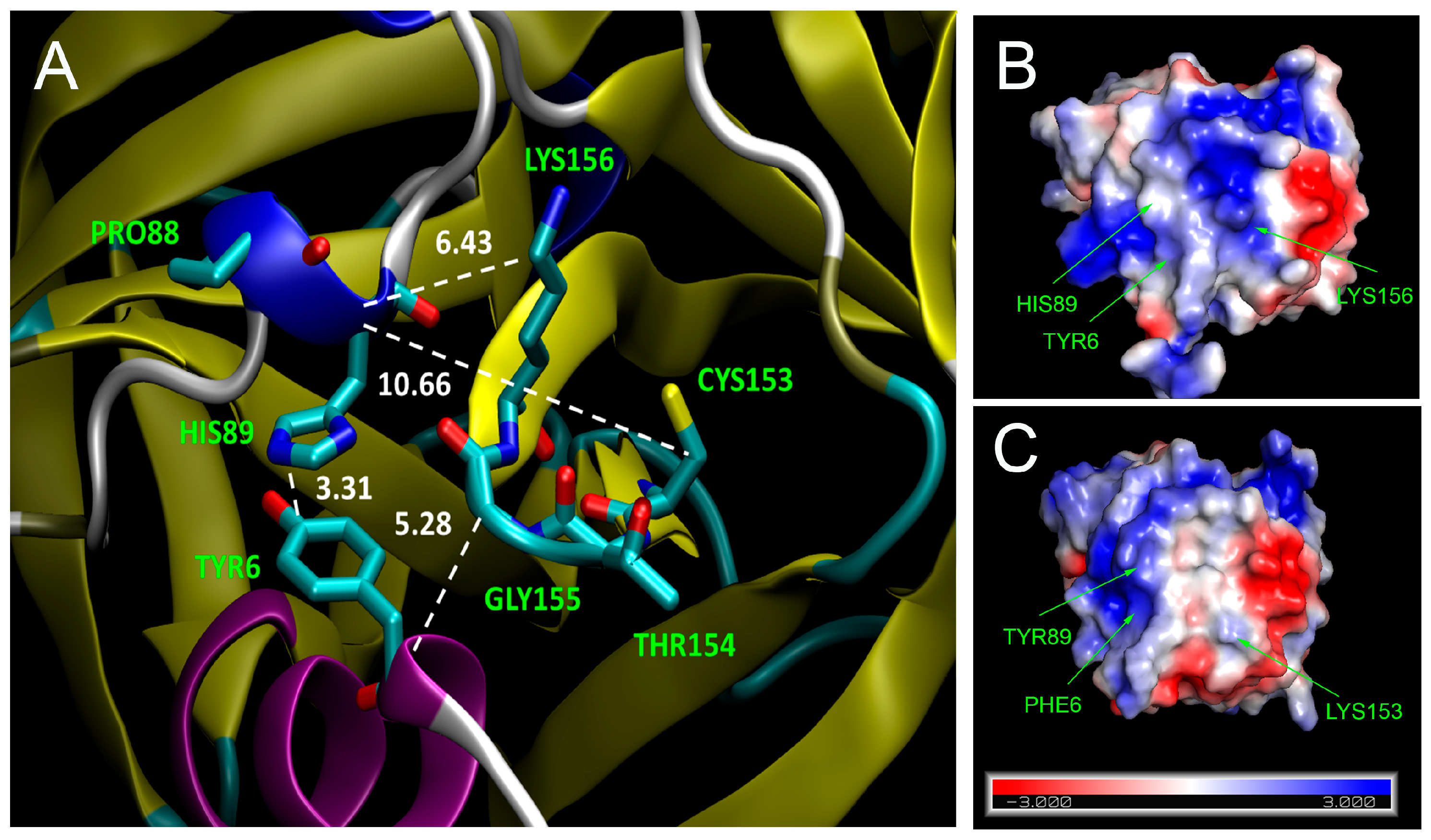 Viruses 11 00479 g009 Viruses 11 00479 g009