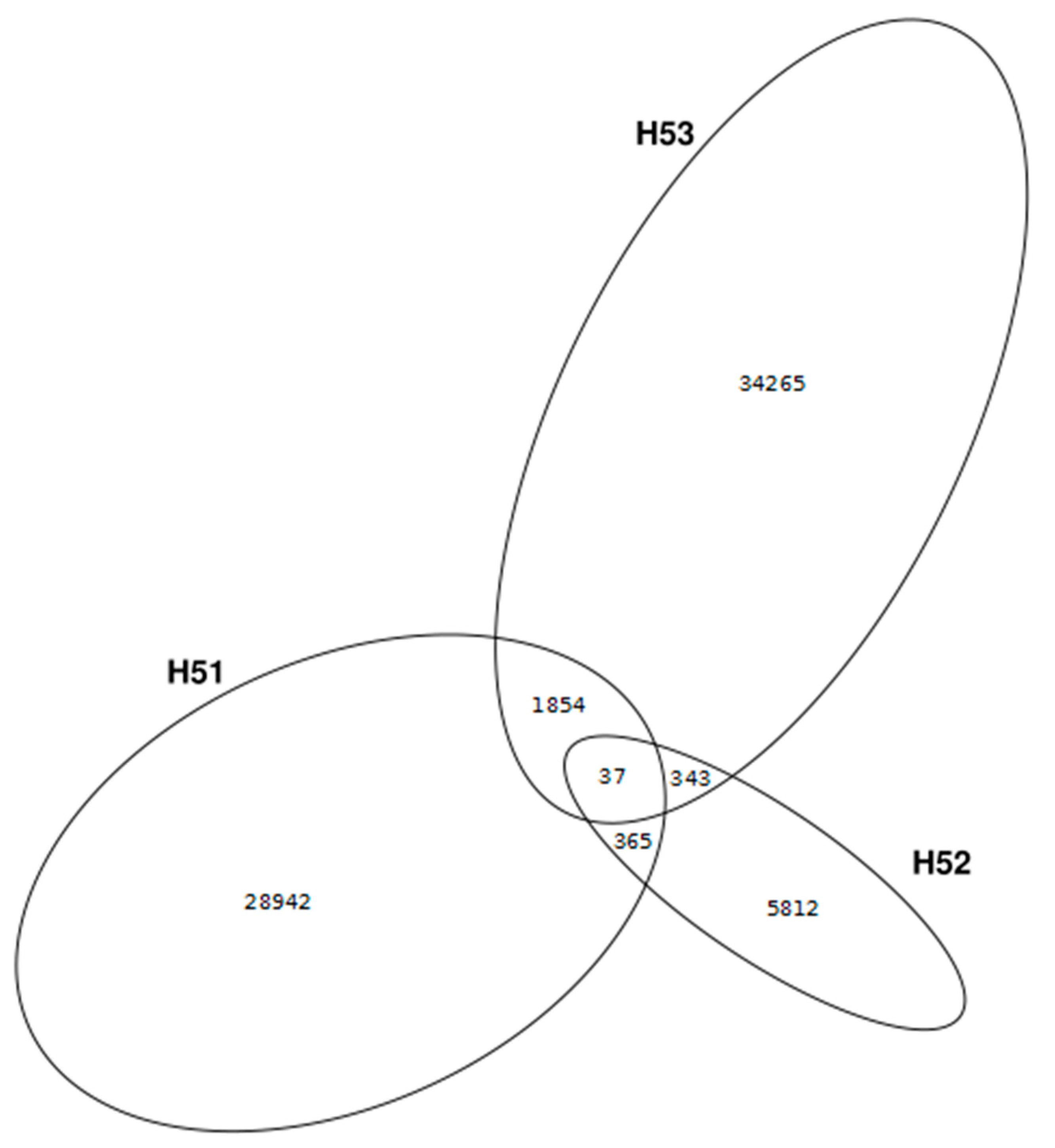 Viruses 11 00484 g004