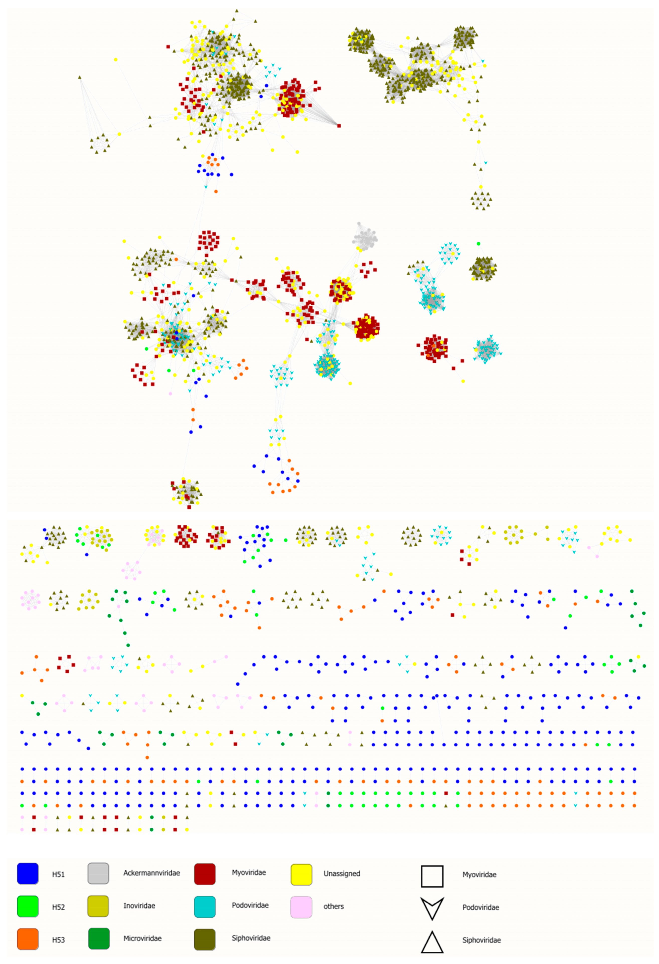 Viruses 11 00484 g006
