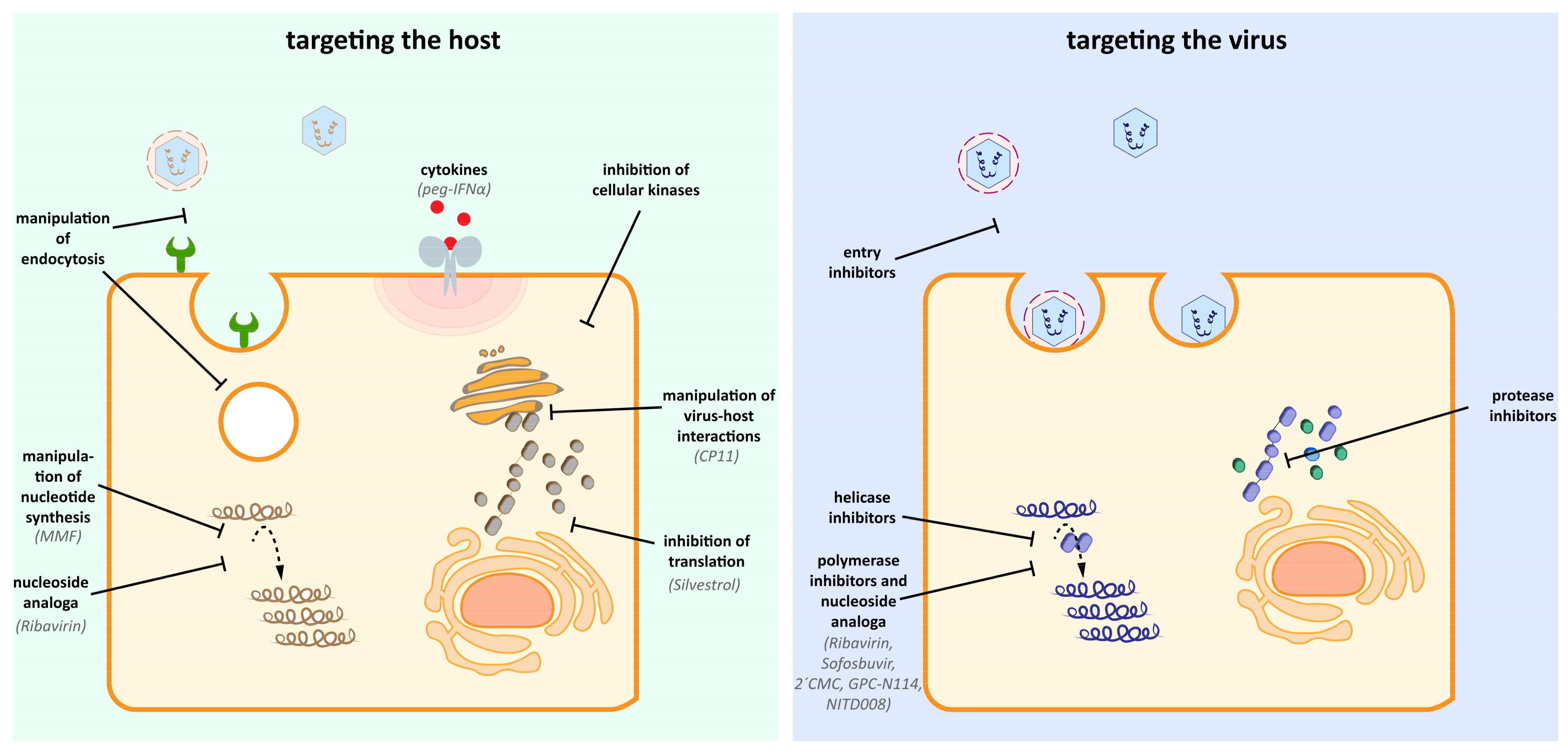 Viruses 11 00485 g002 Viruses 11 00485 g002