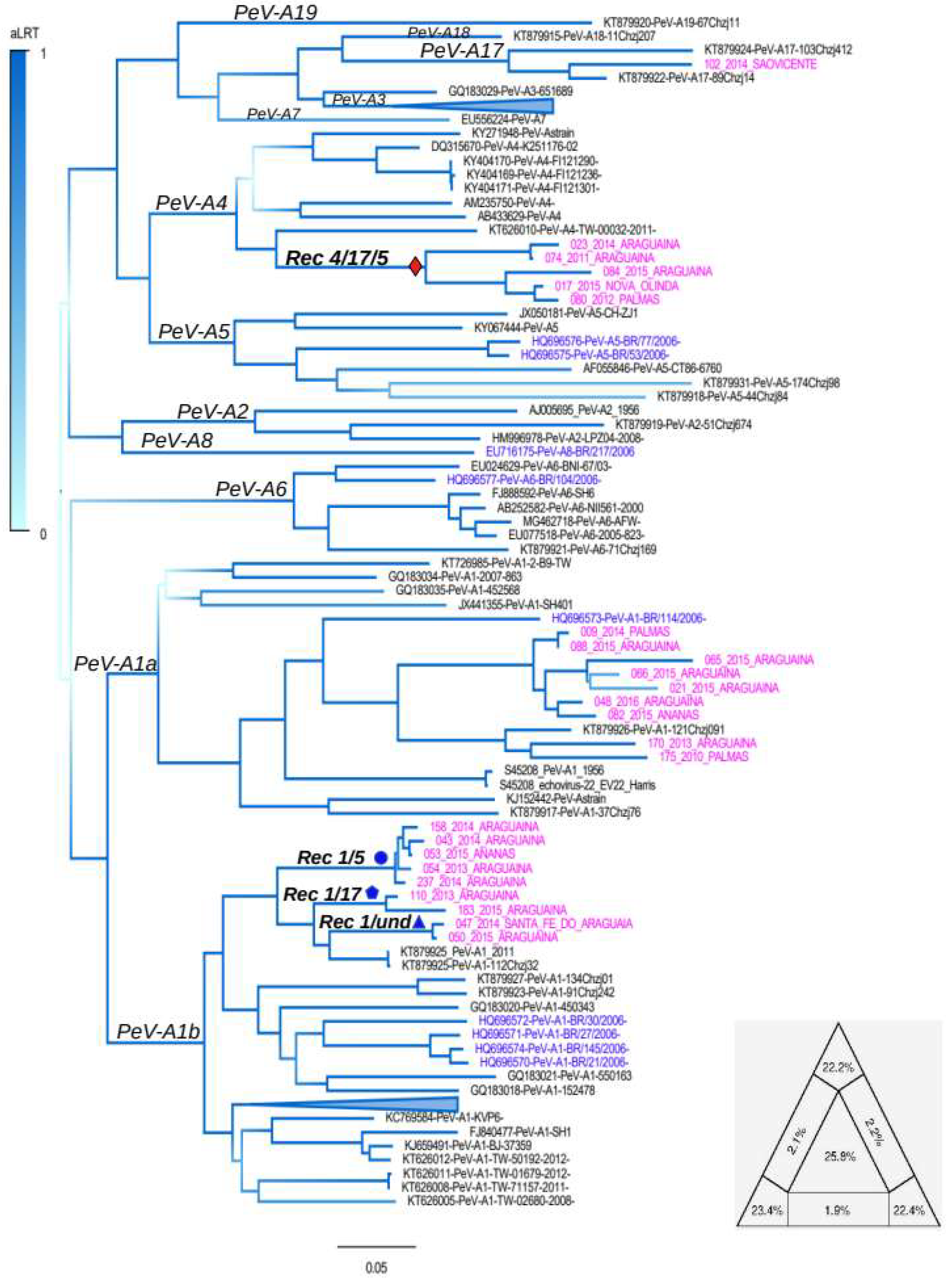 Viruses 11 00488 g002 Viruses 11 00488 g002