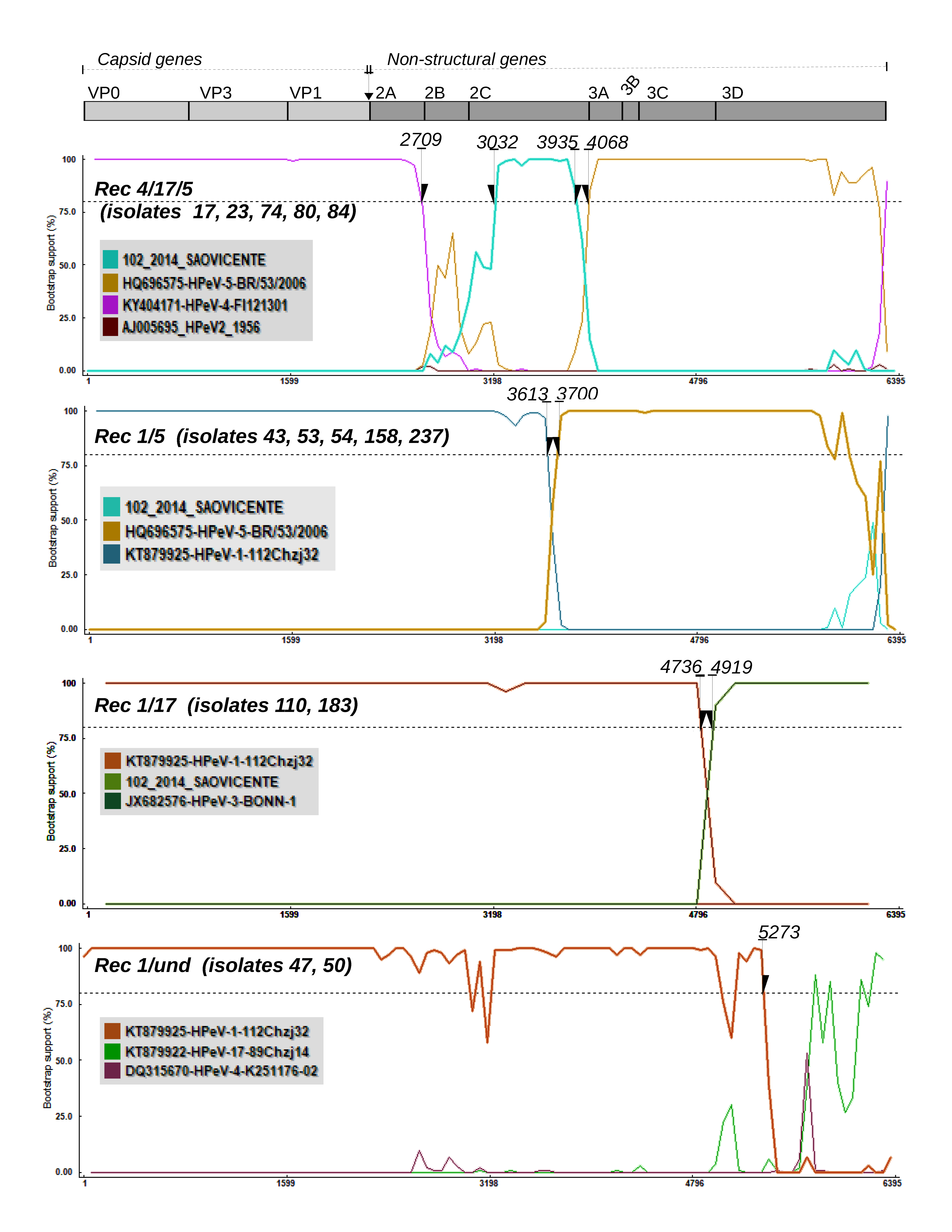 Viruses 11 00488 g003 Viruses 11 00488 g003