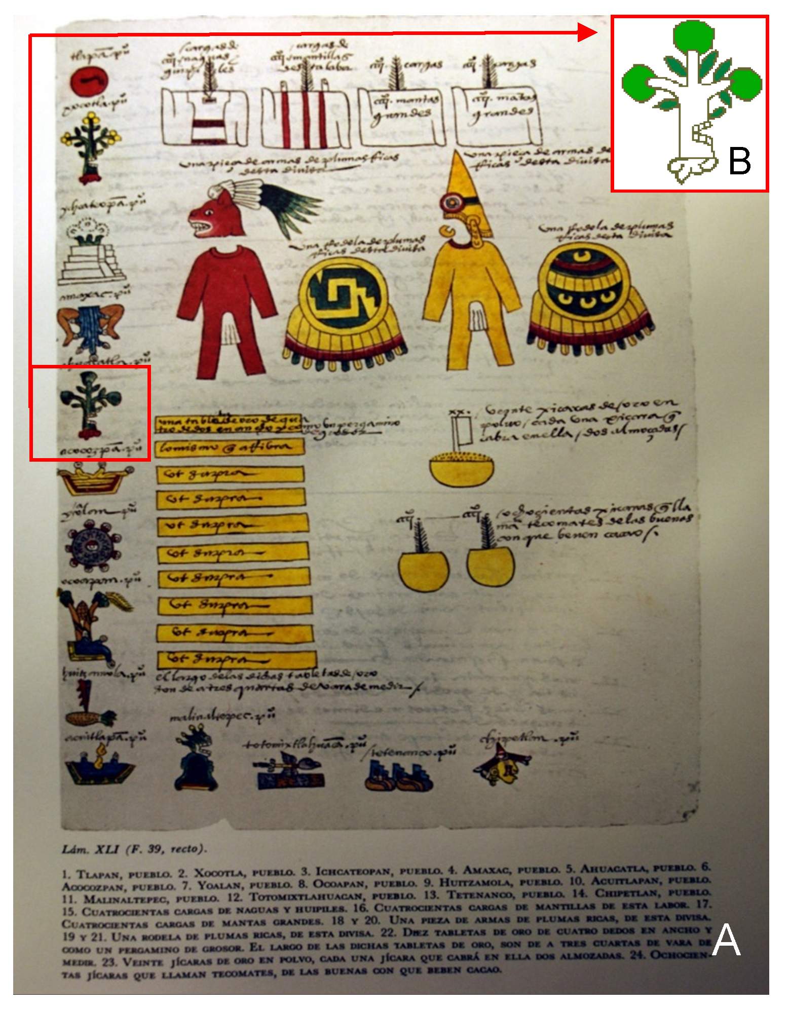 Viruses 11 00491 g001