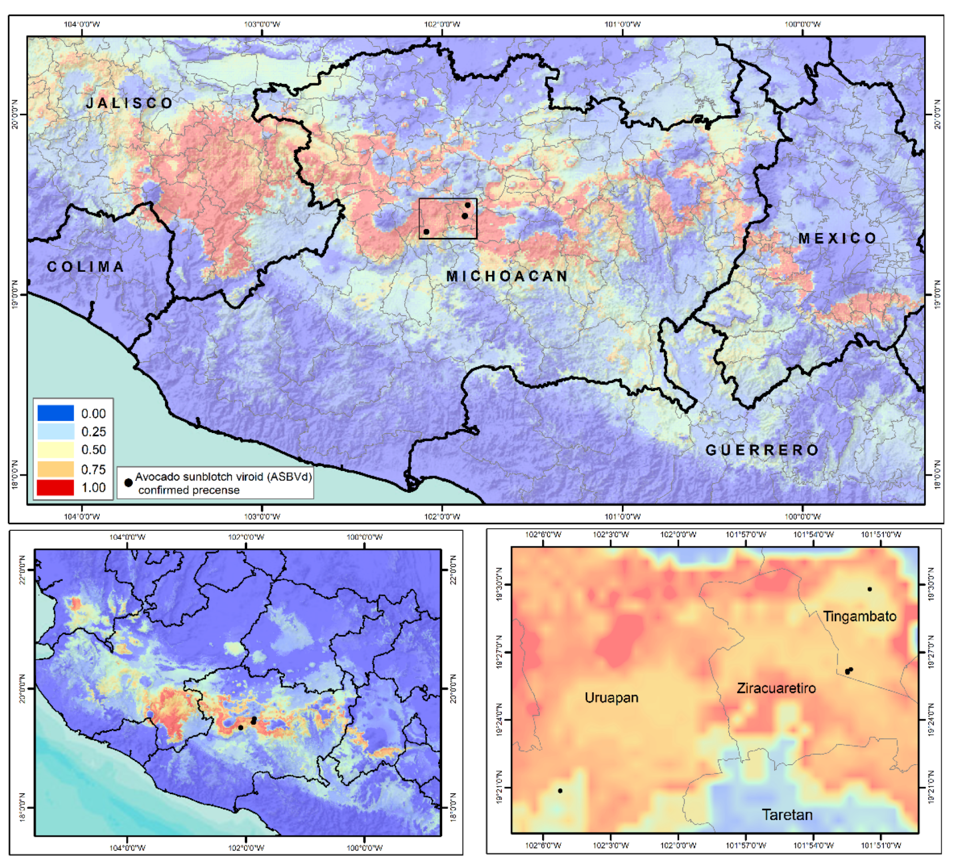 Viruses 11 00491 g005