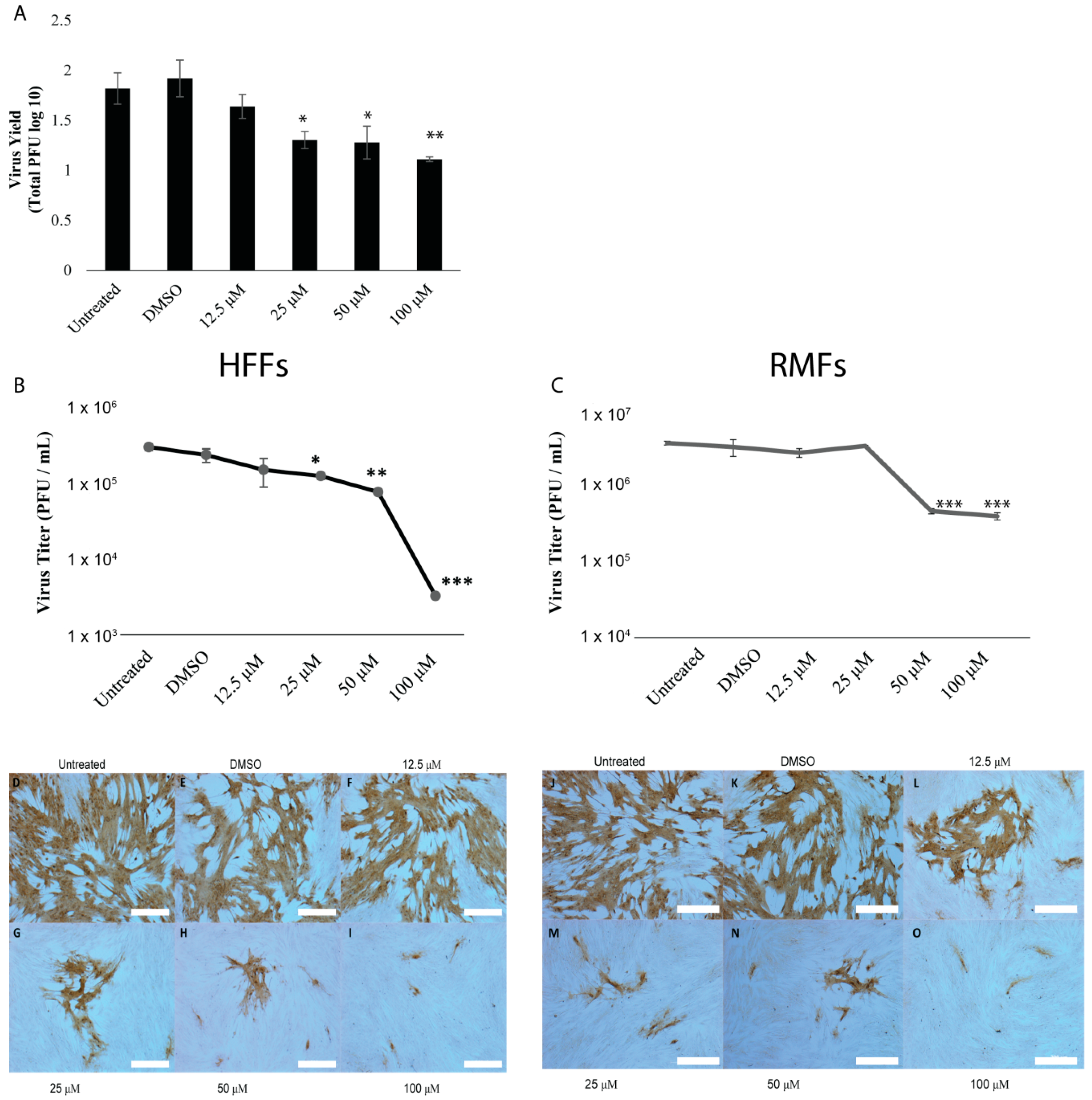 Viruses 11 00499 g002