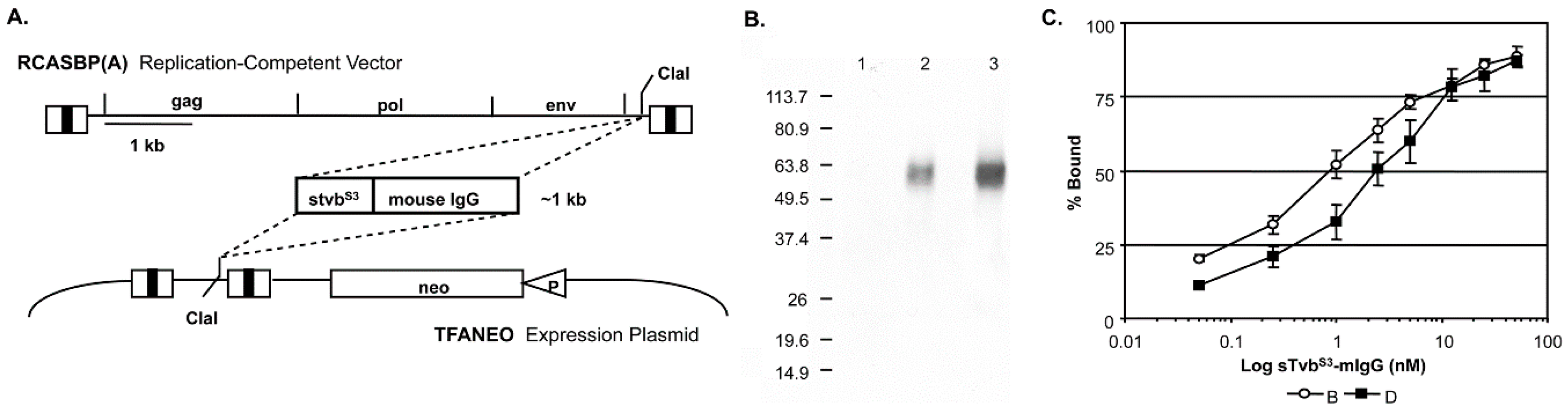 Viruses 11 00500 g001