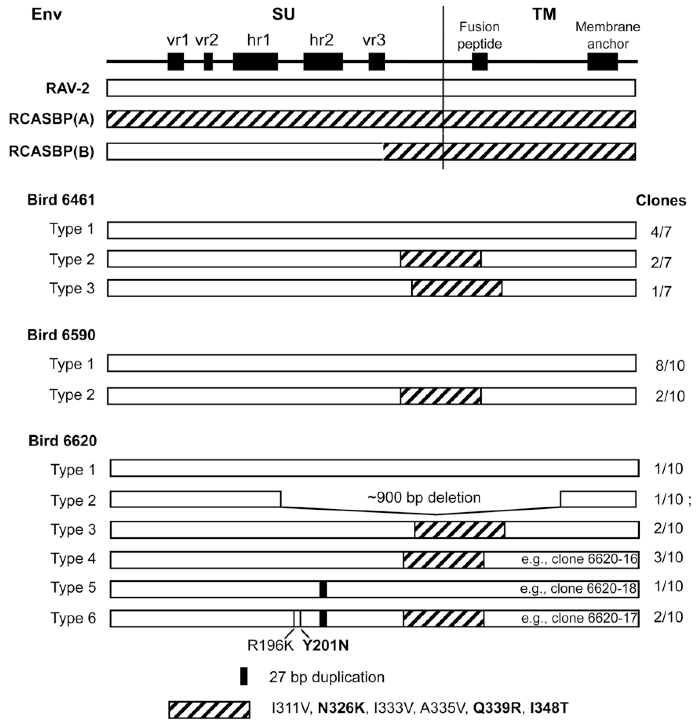 Viruses 11 00500 g002