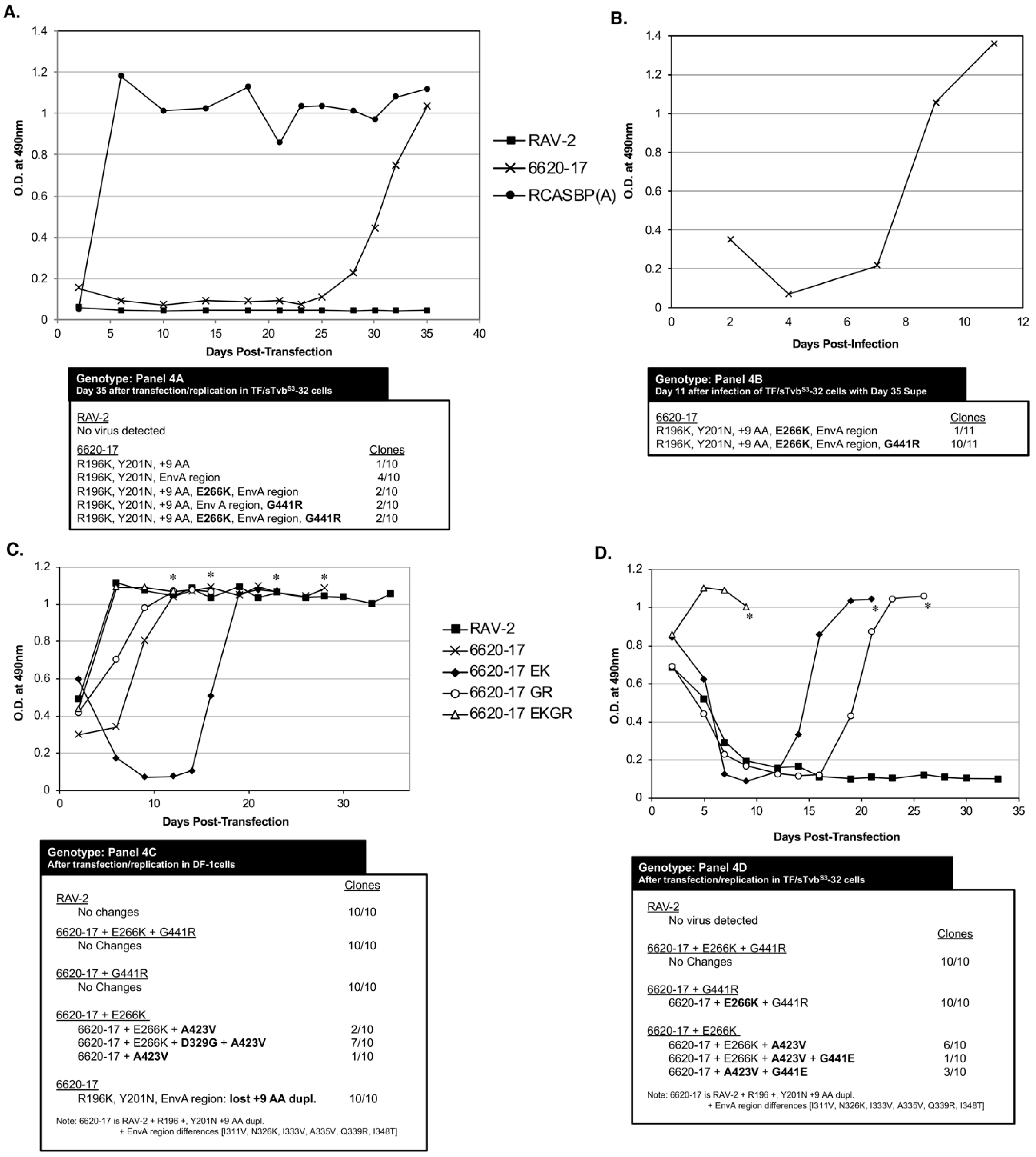 Viruses 11 00500 g004