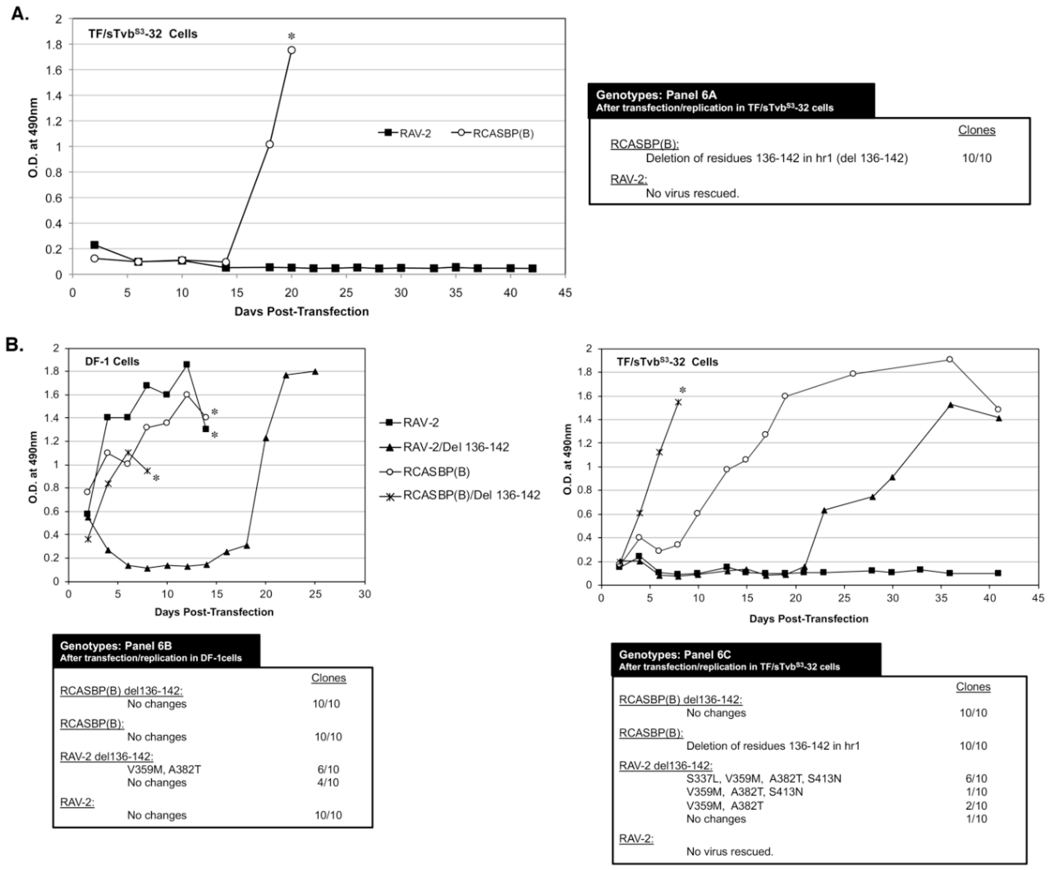 Viruses 11 00500 g006