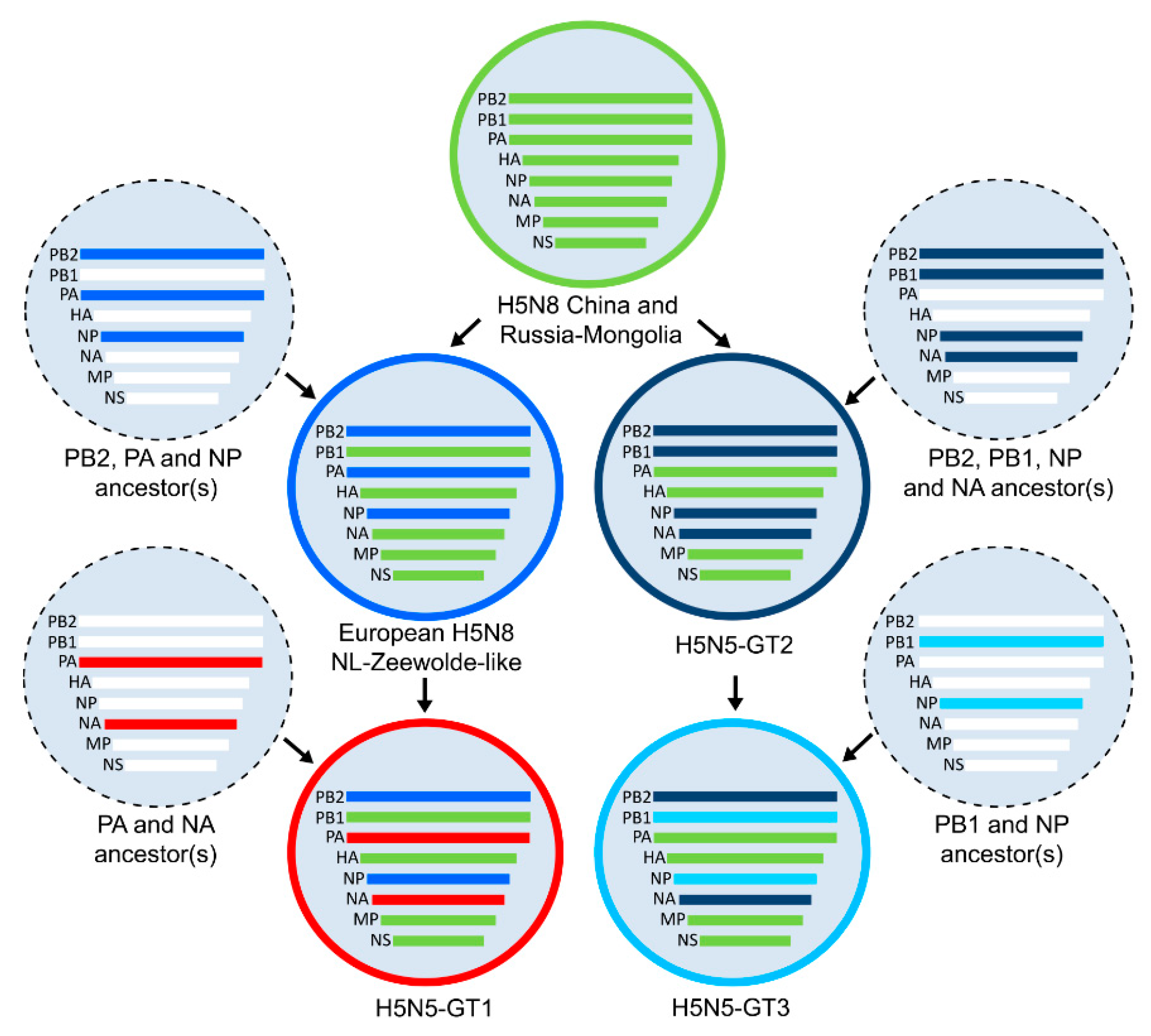 Viruses 11 00501 g001