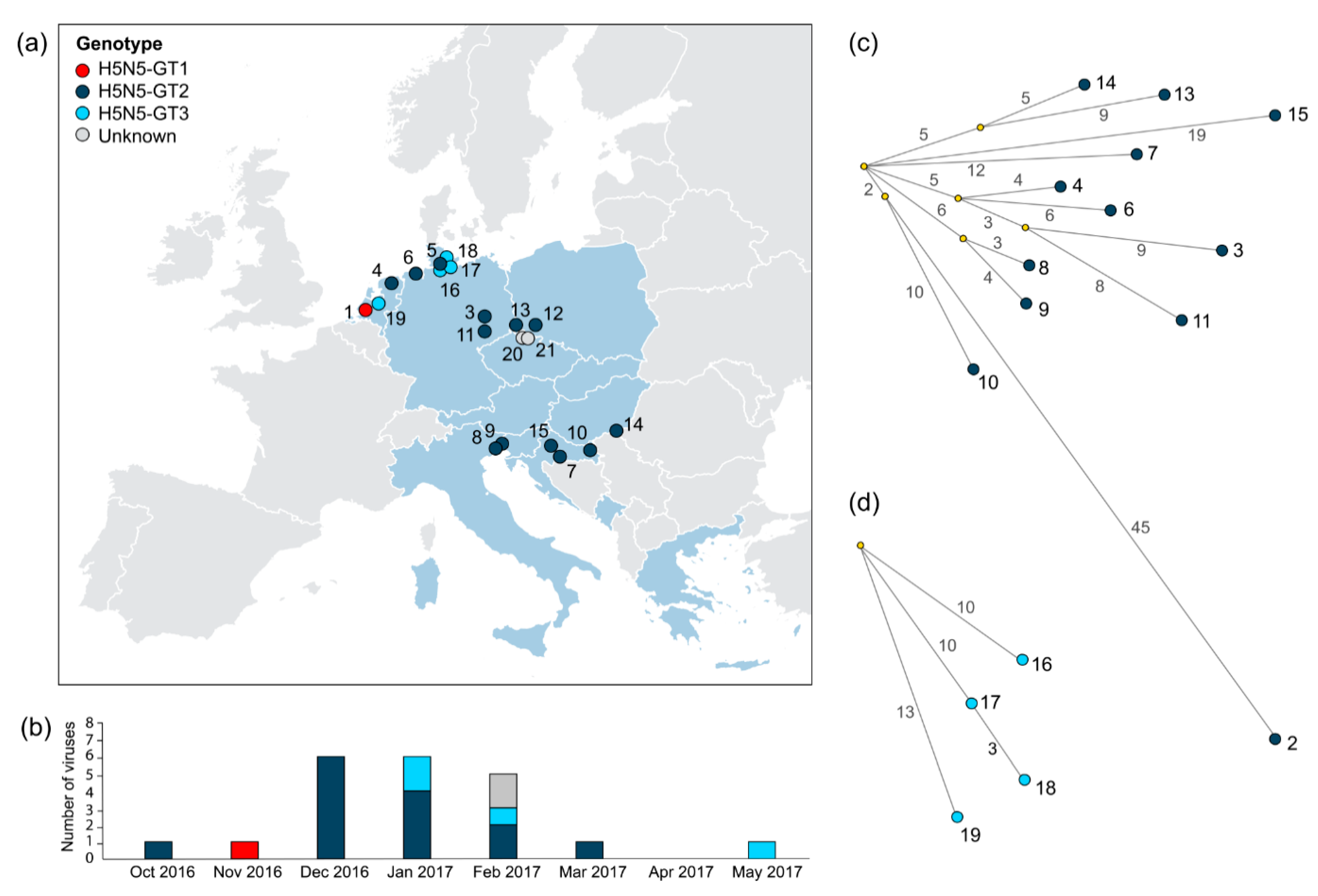 Viruses 11 00501 g002