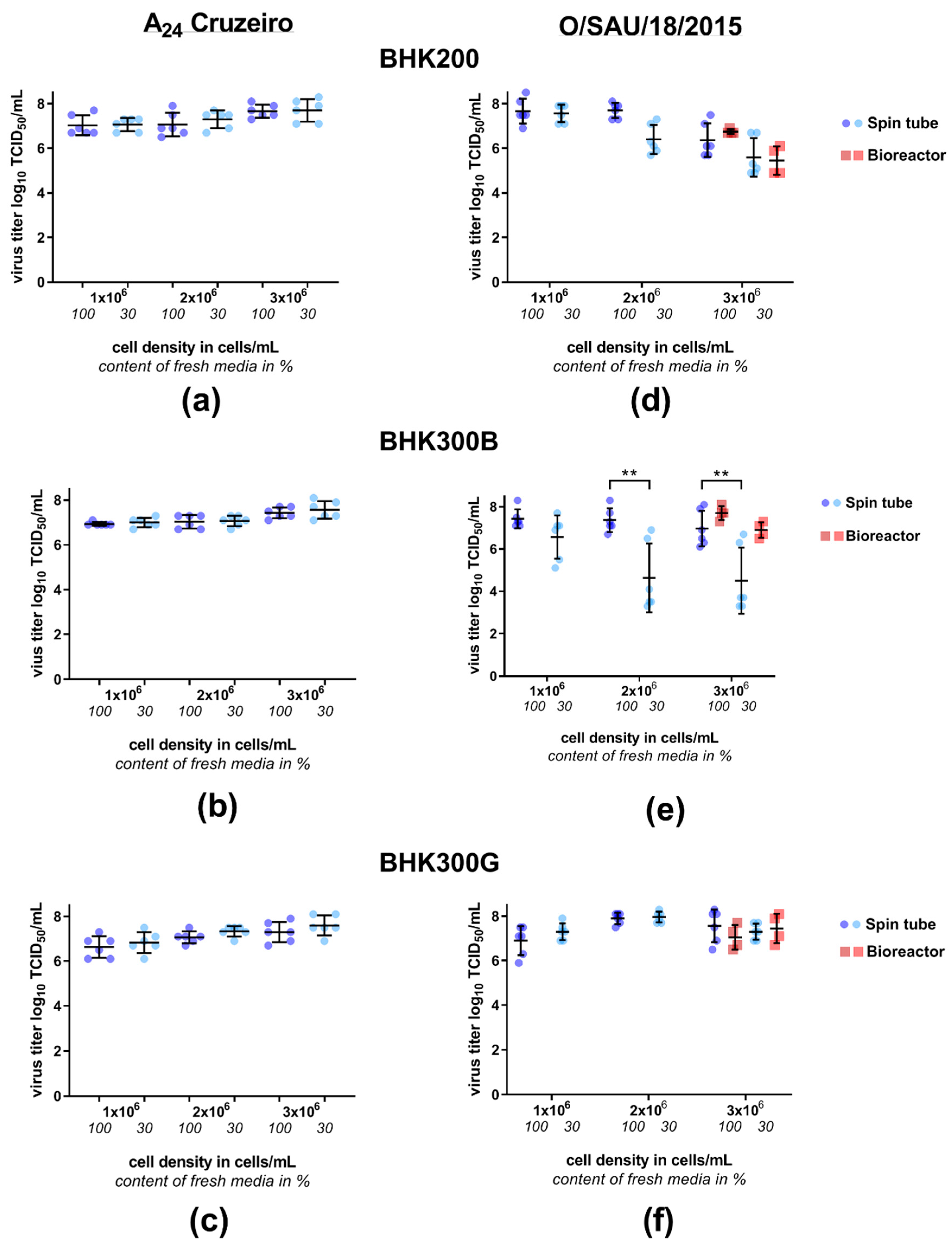 Viruses 11 00511 g002