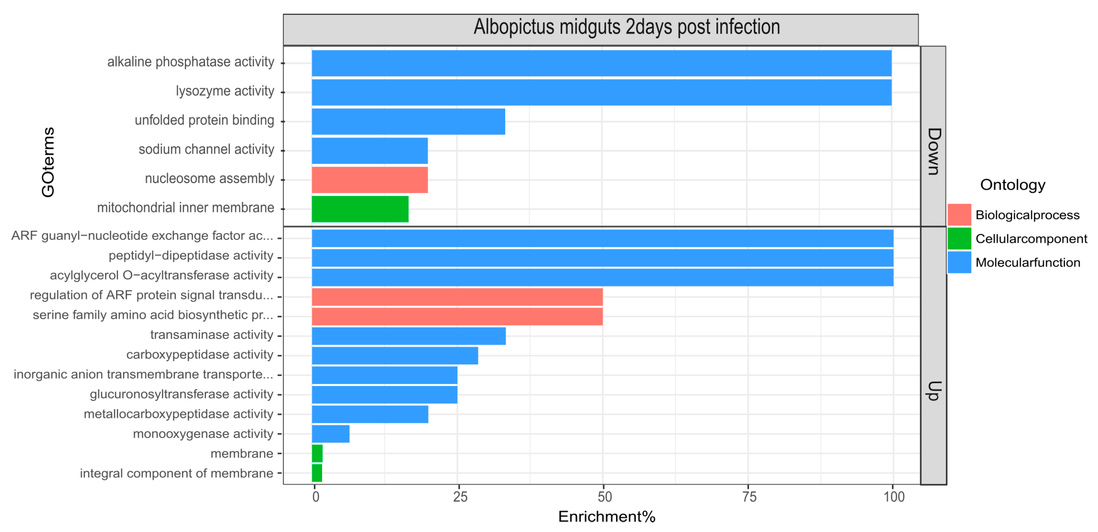Viruses 11 00513 g002 Viruses 11 00513 g002