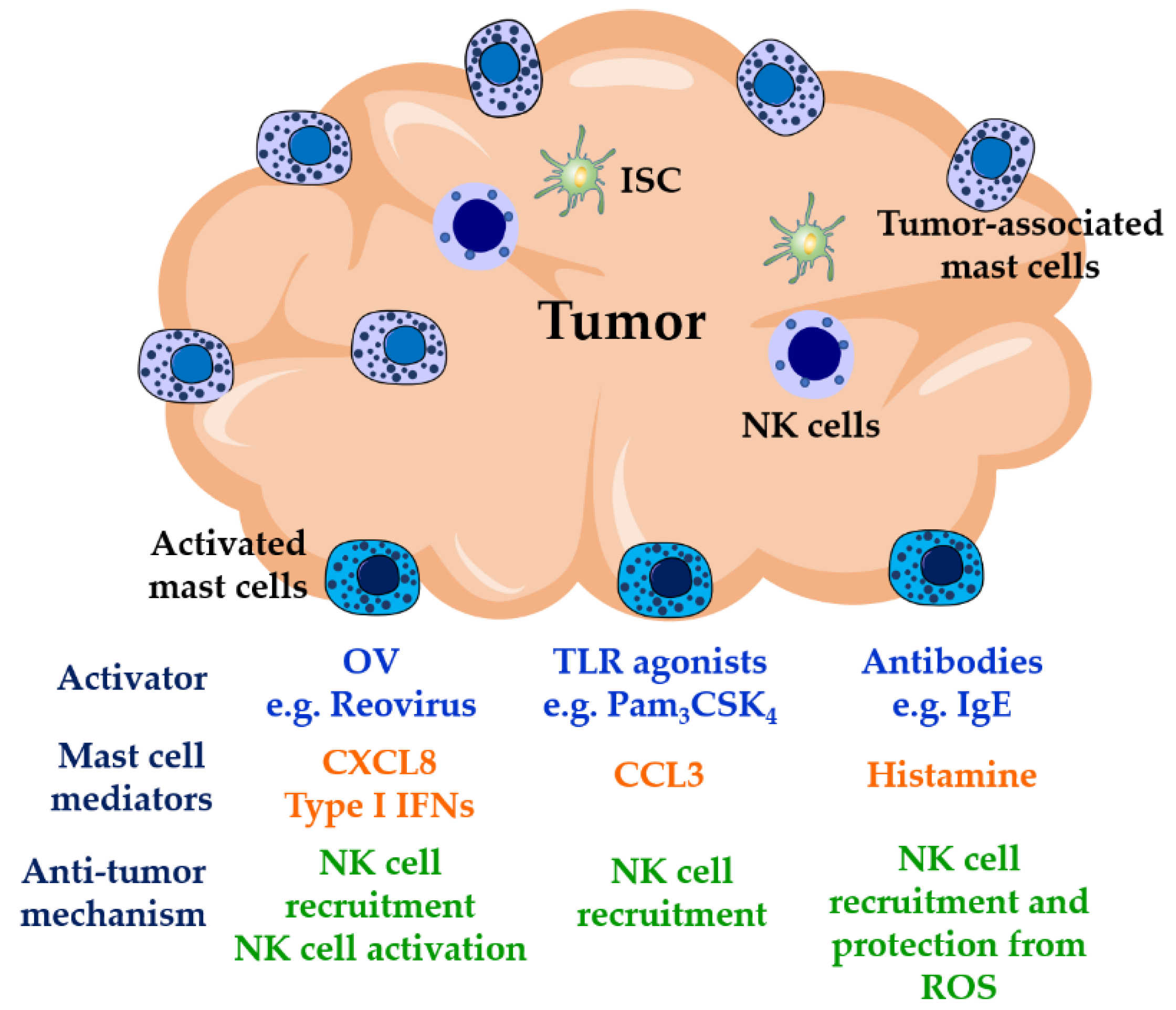 Viruses 11 00514 g002
