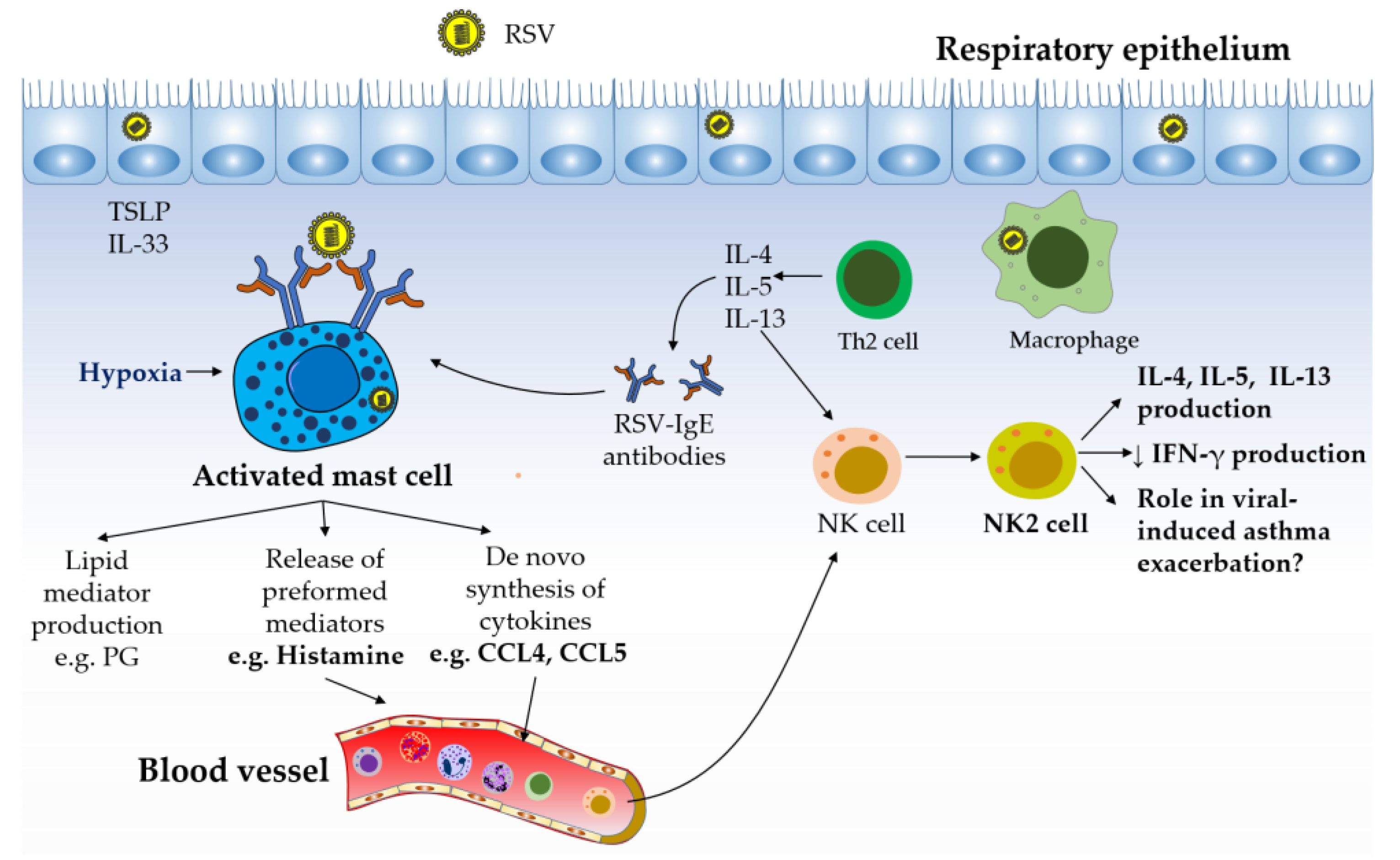 Viruses 11 00514 g003