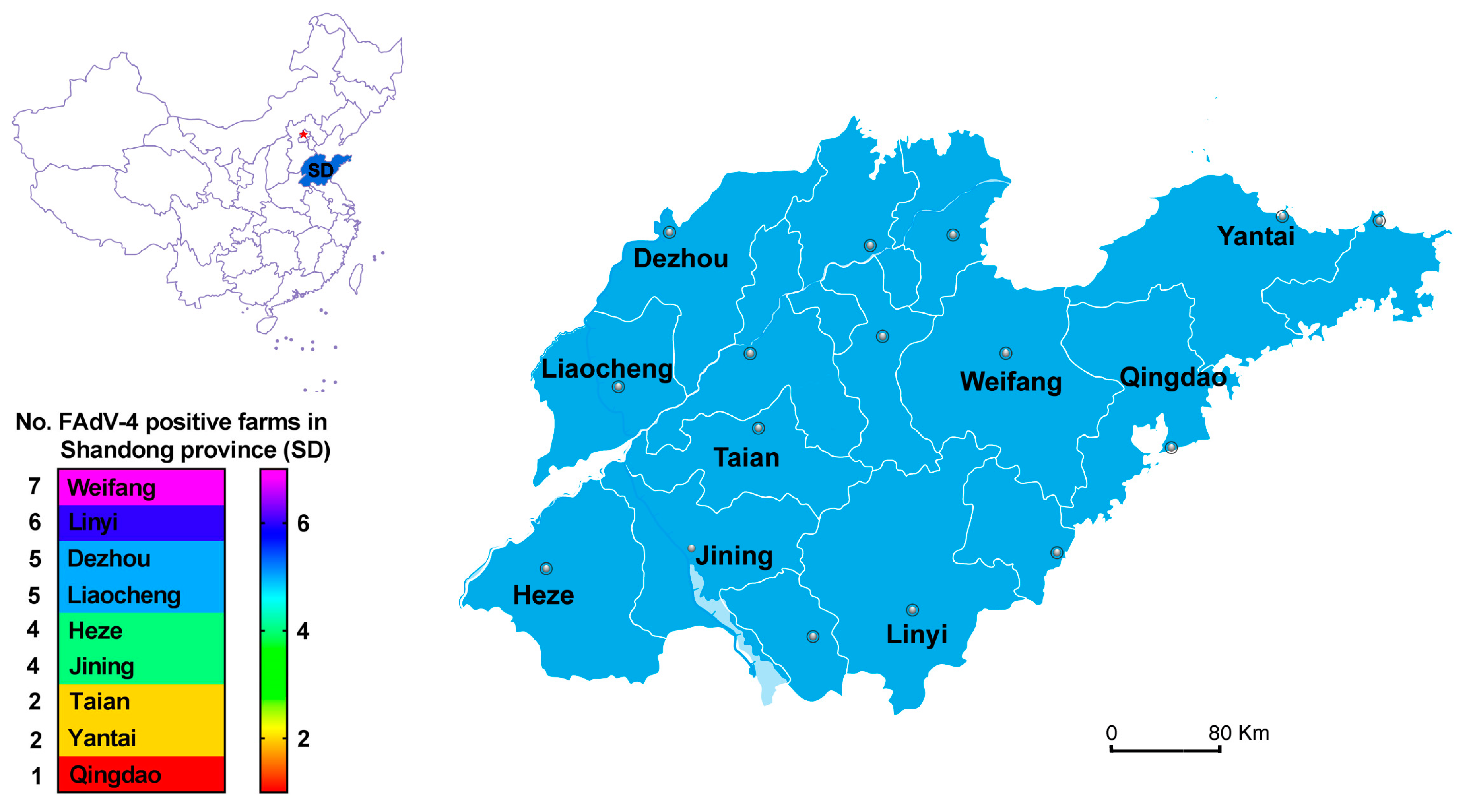 Viruses 11 00517 g001 Viruses 11 00517 g001