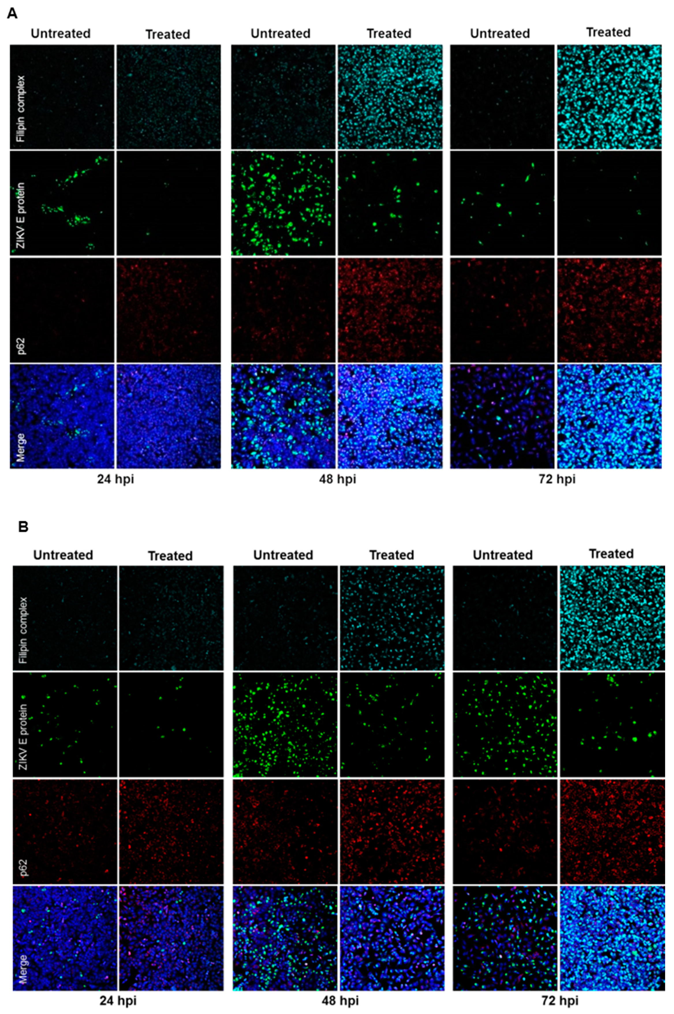 Viruses 11 00524 g007a Viruses 11 00524 g007a