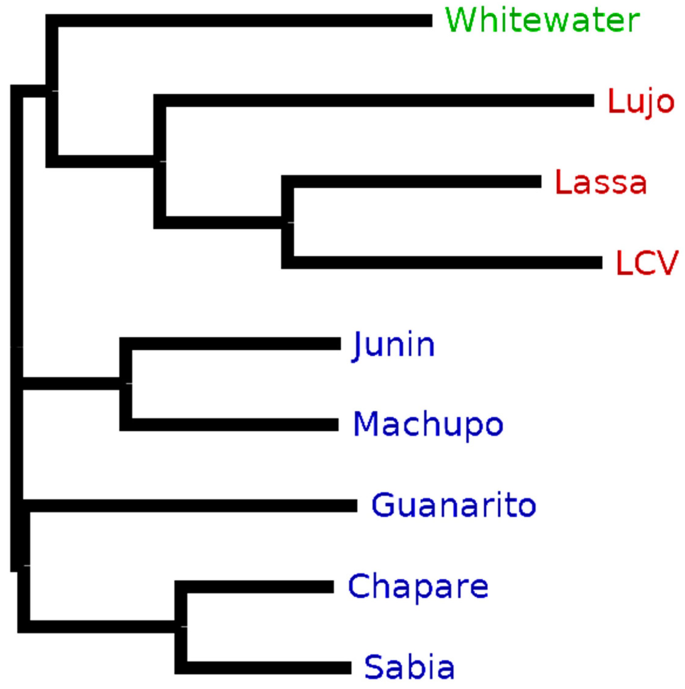 Viruses 11 00536 g005
