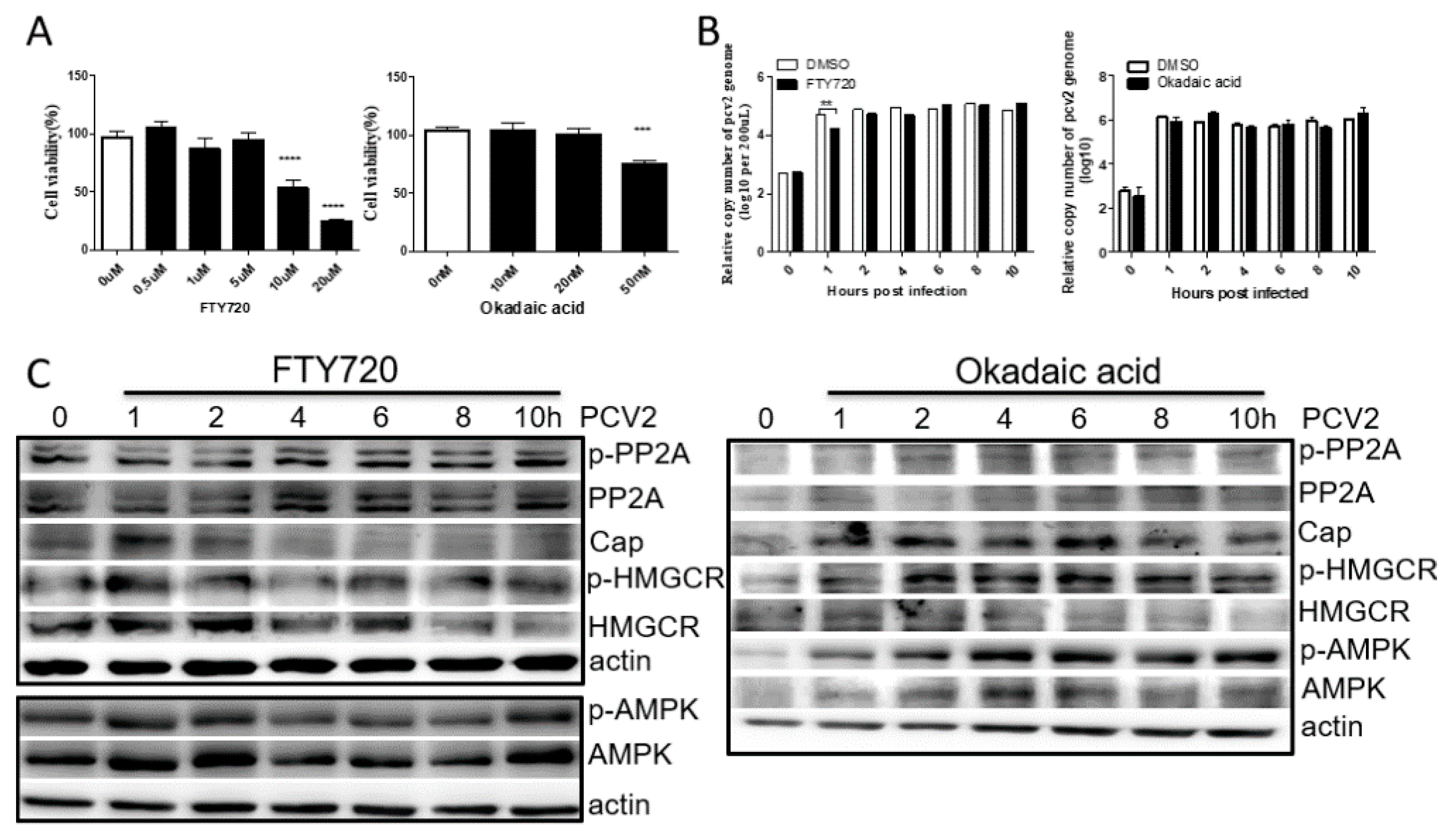 Viruses 11 00544 g003