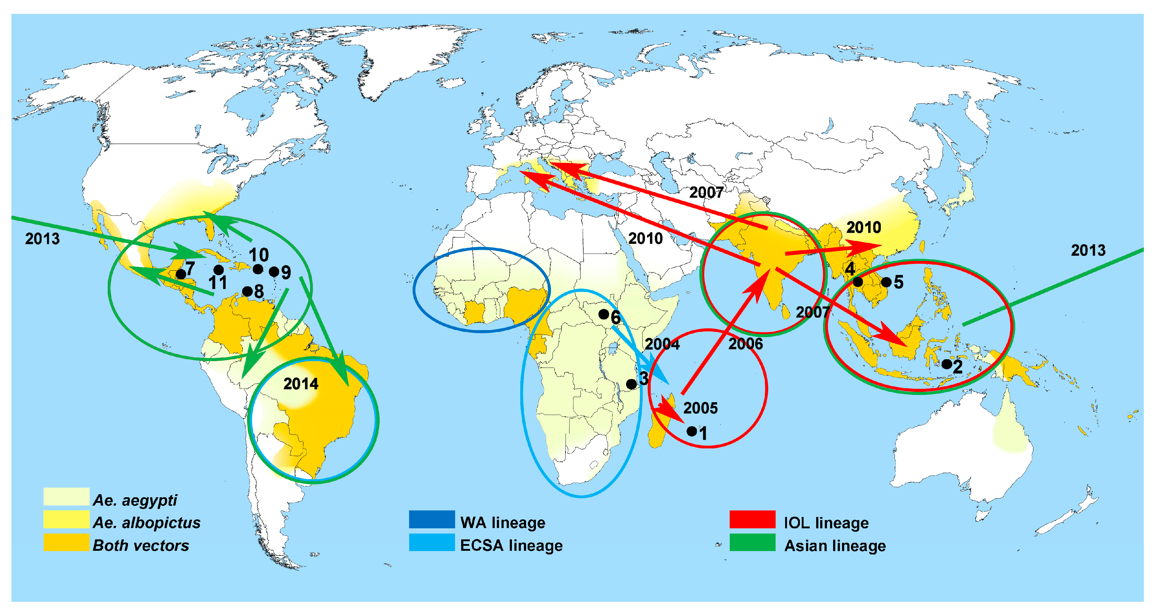 Viruses 11 00550 g001