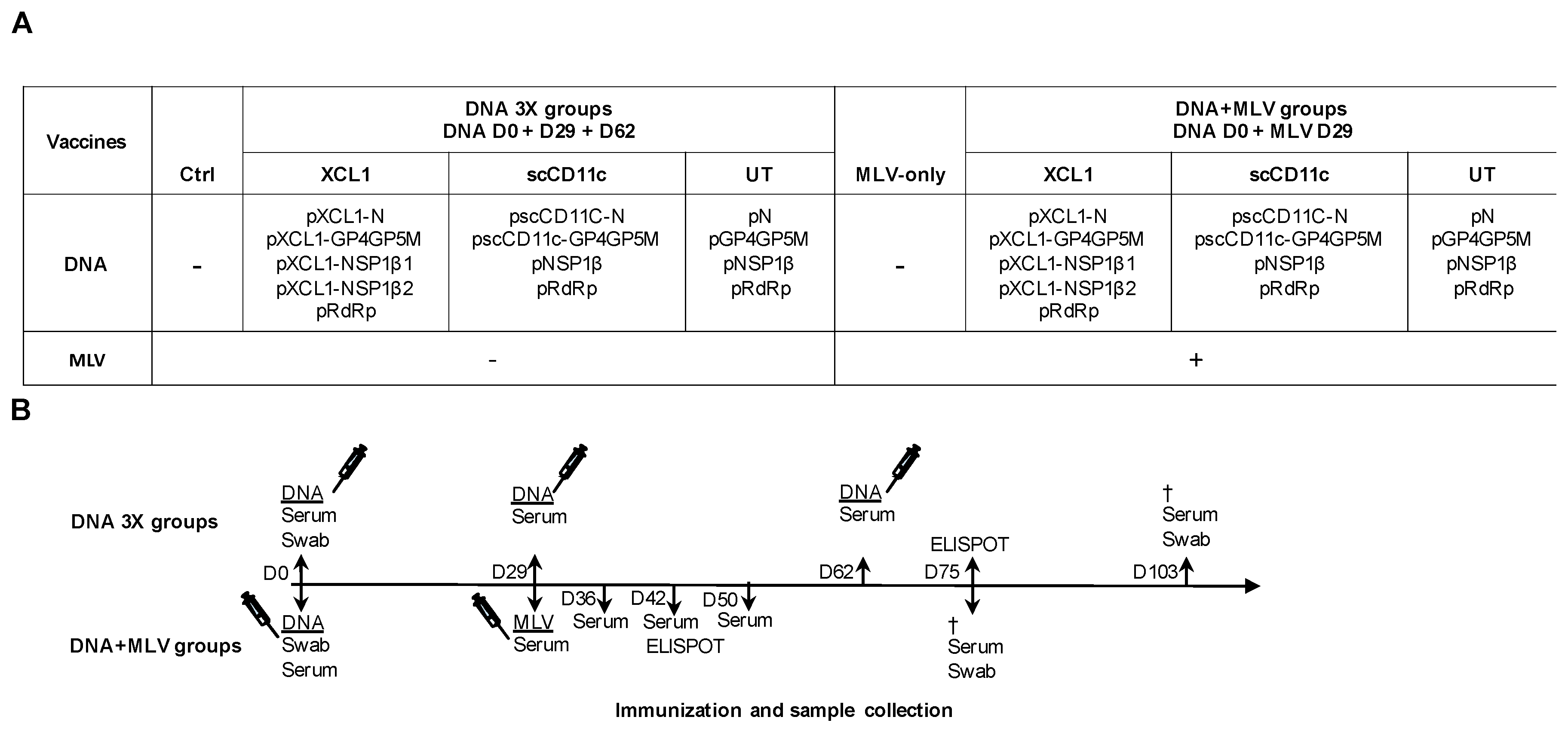 Viruses 11 00551 g002 Viruses 11 00551 g002