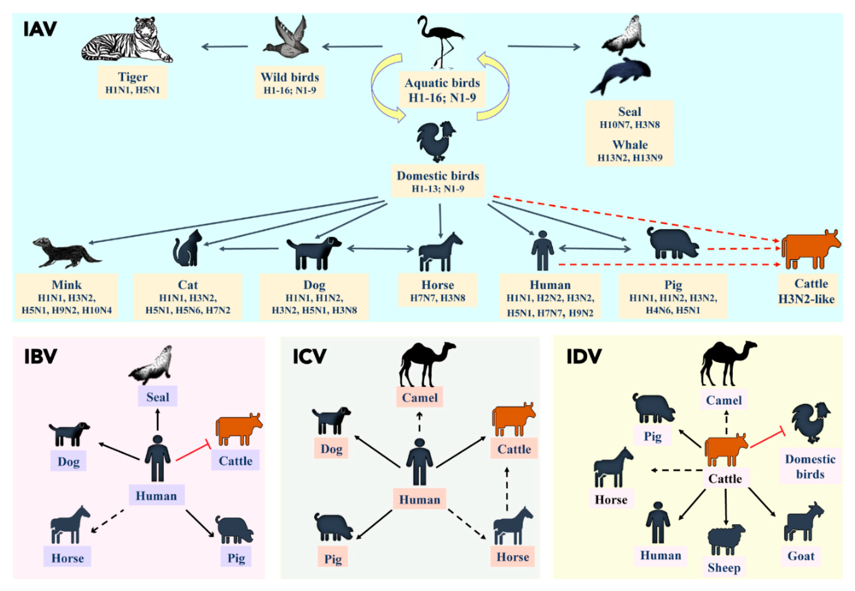 Viruses 11 00561 g002 Viruses 11 00561 g002