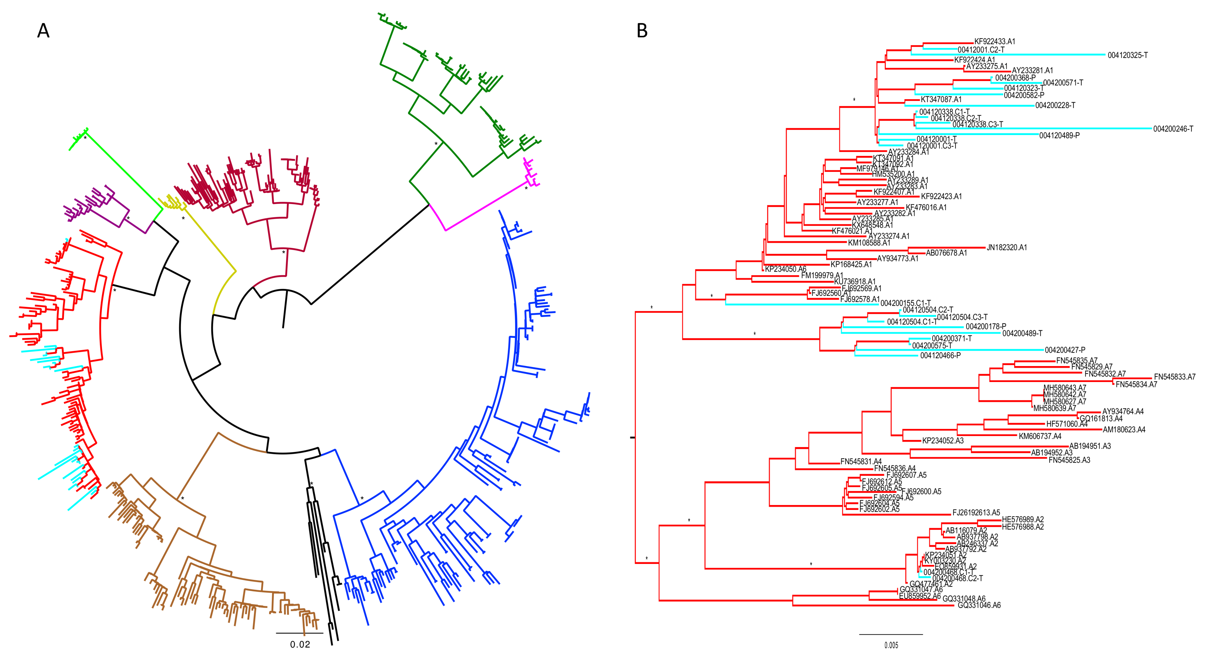 Viruses 11 00569 g001