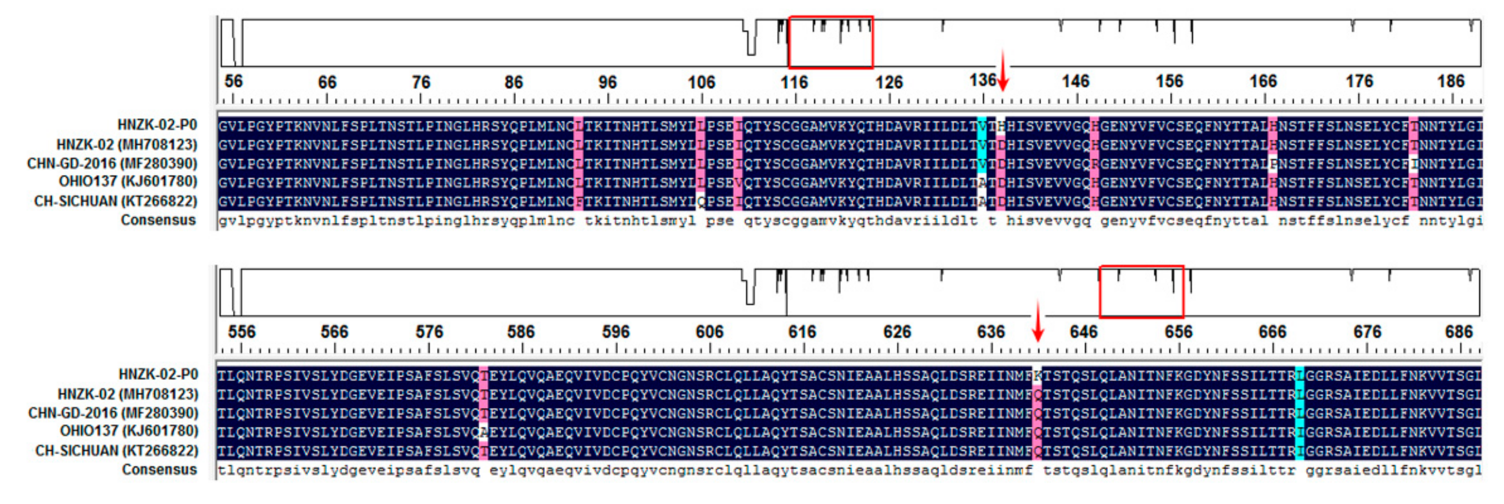 Viruses 11 00573 g005 Viruses 11 00573 g005