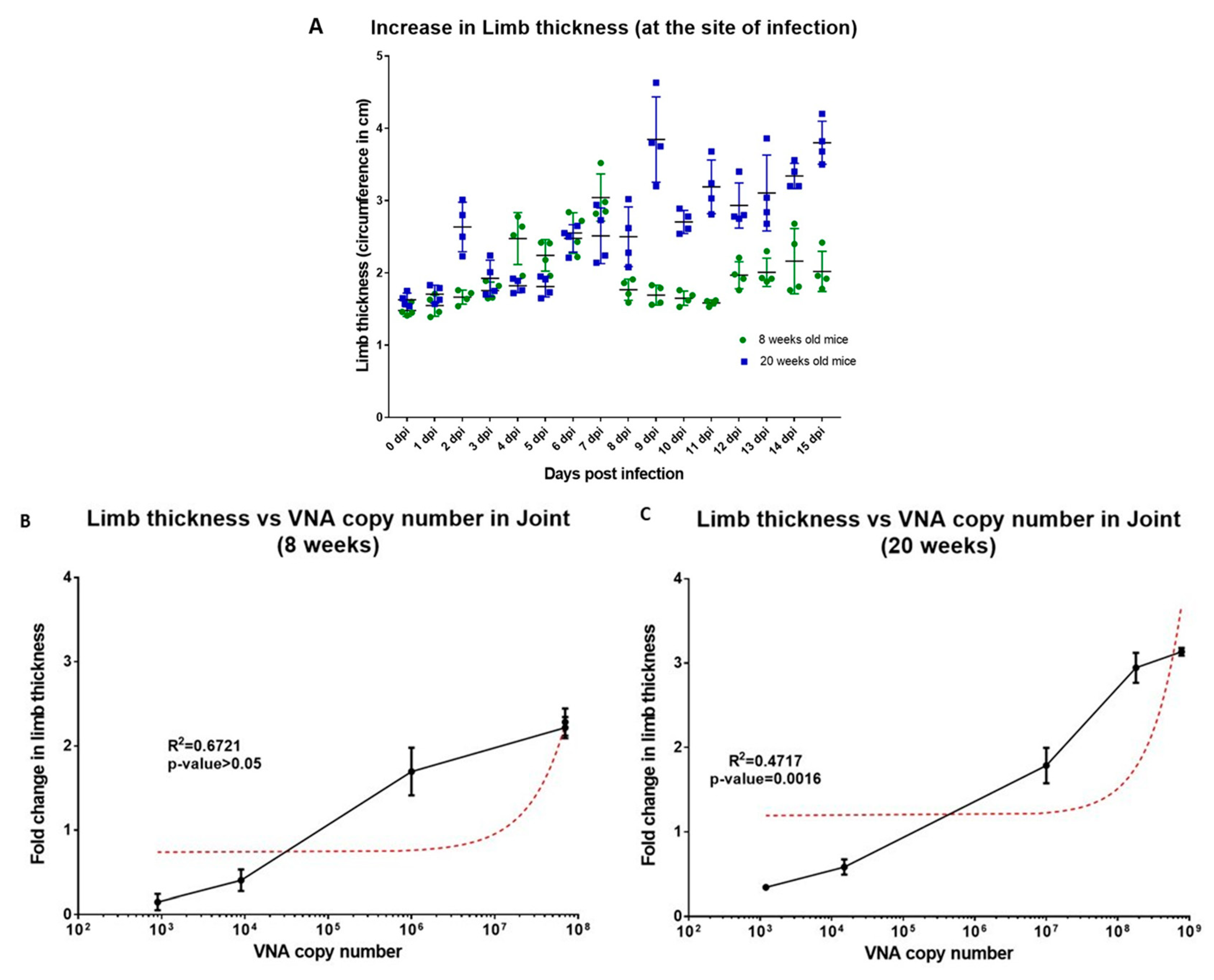 Viruses 11 00578 g004