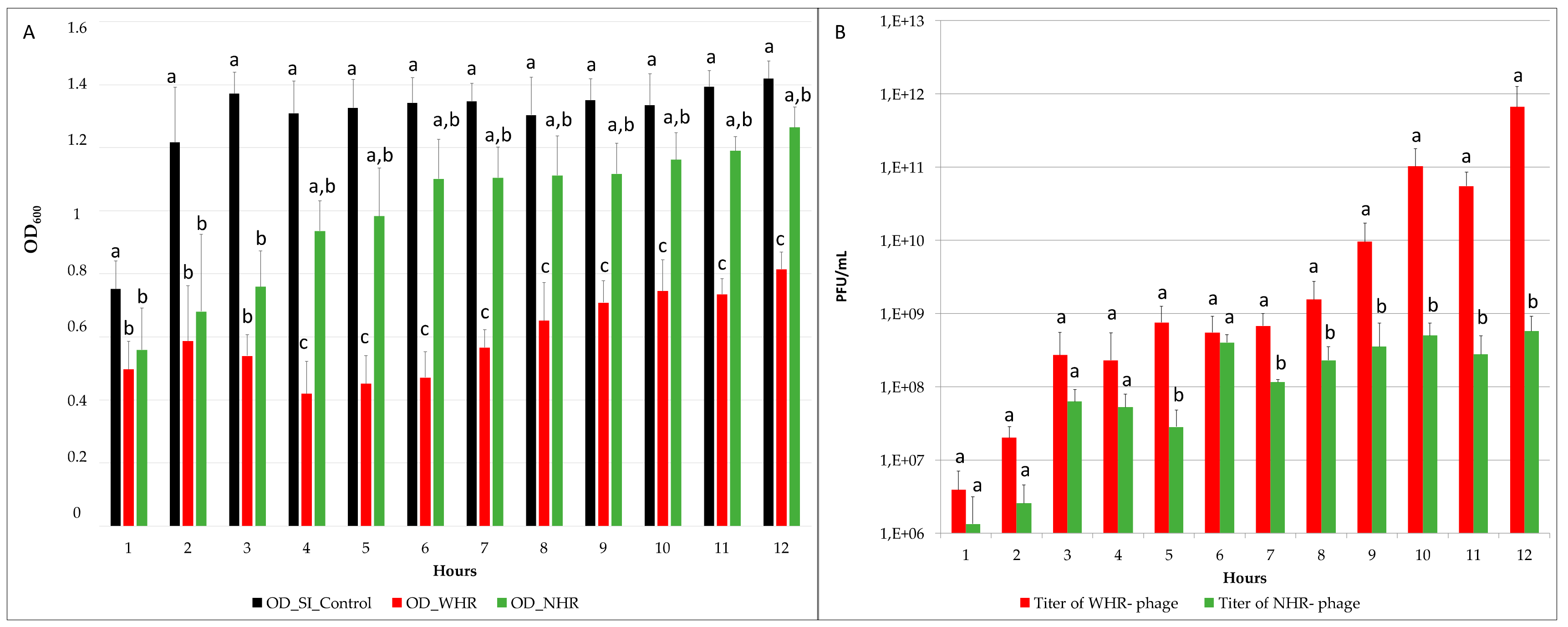Viruses 11 00586 g003