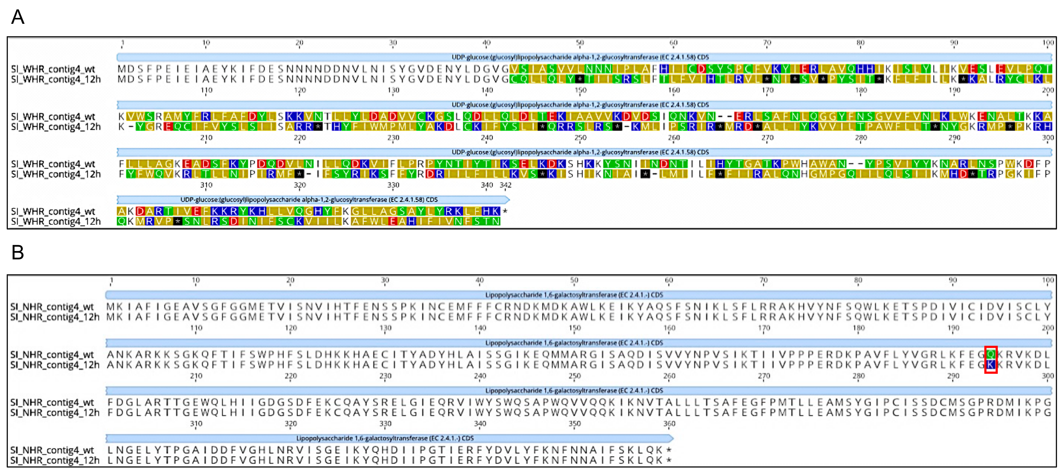 Viruses 11 00586 g004