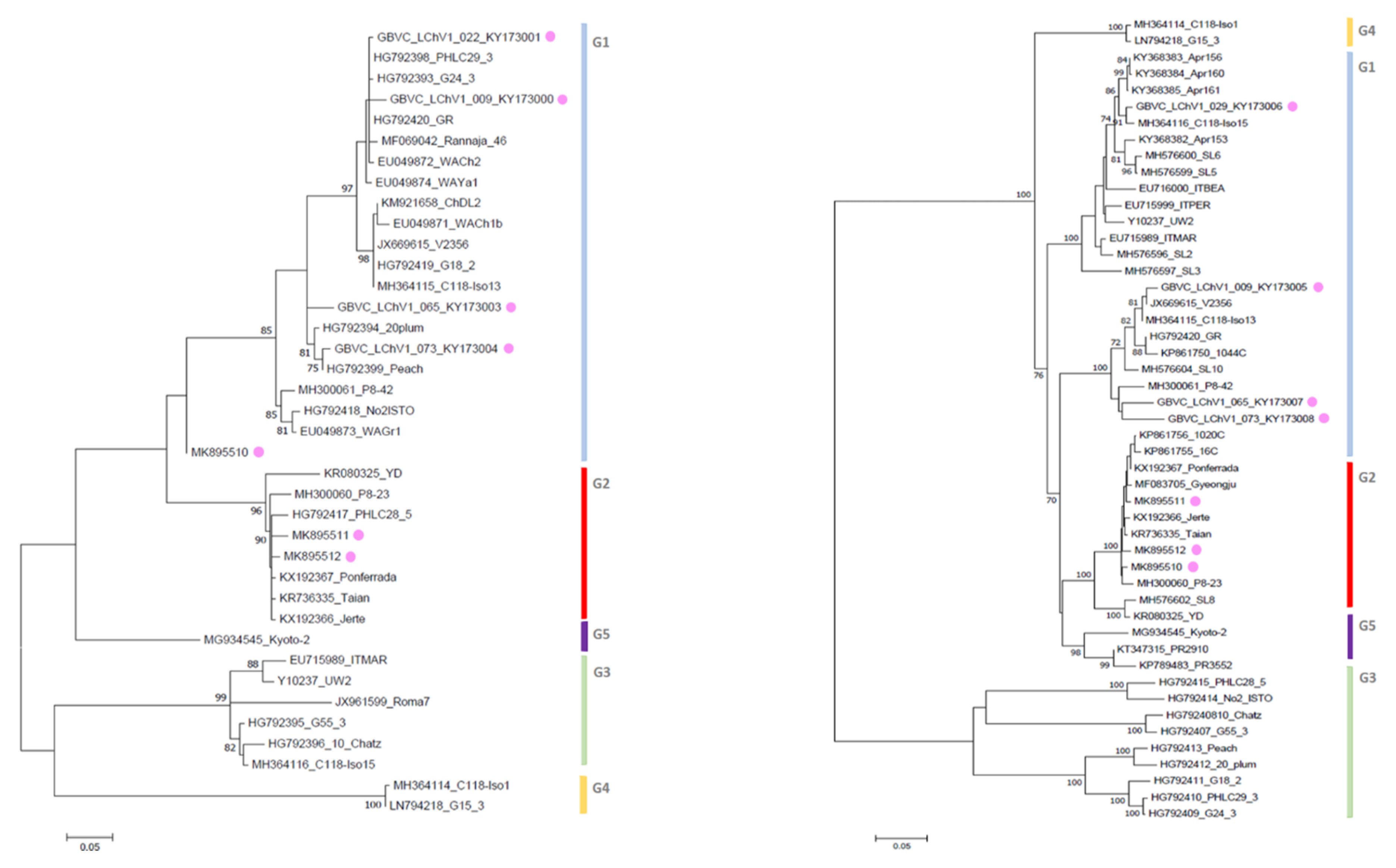 Viruses 11 00592 g001