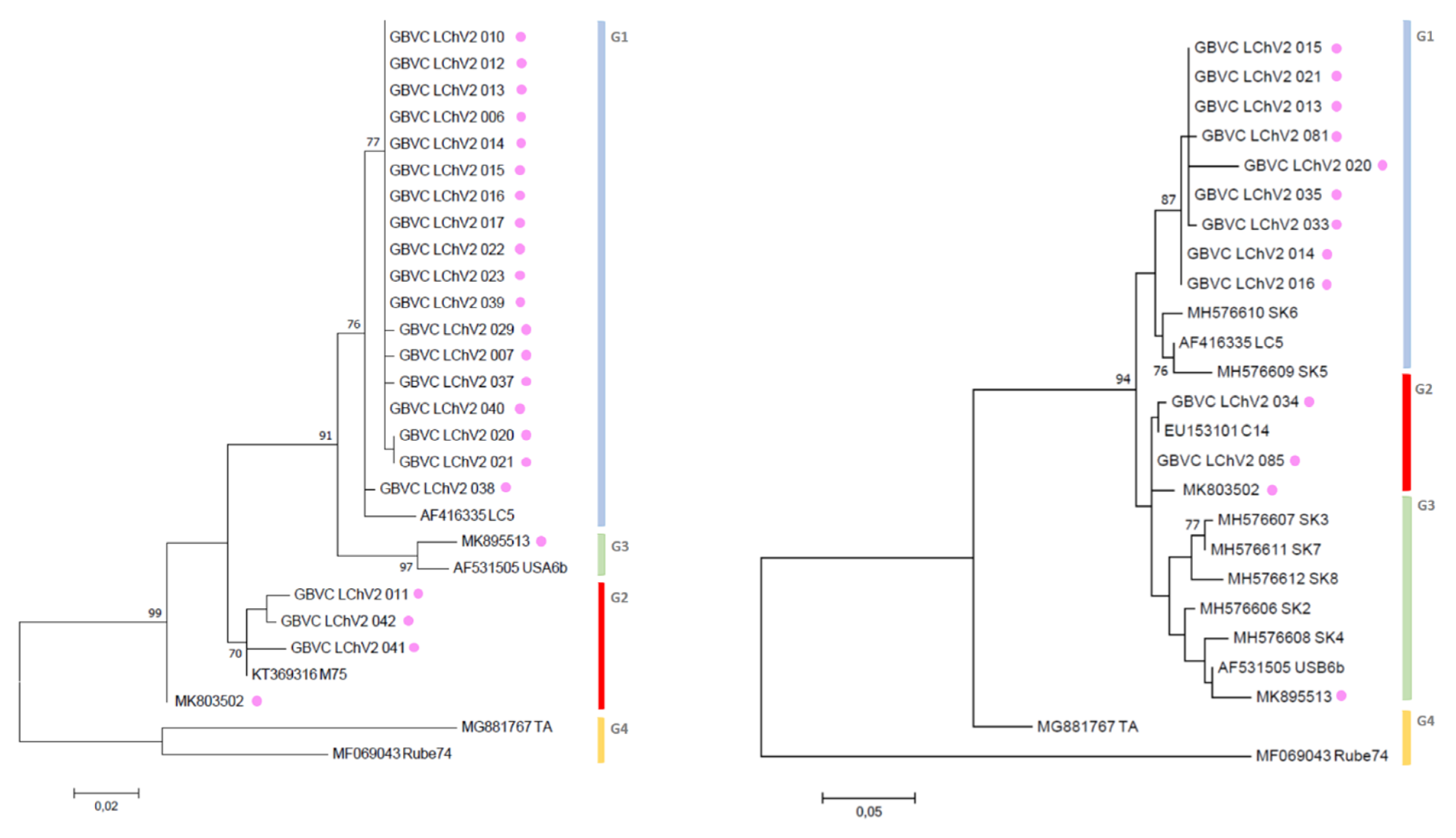 Viruses 11 00592 g002