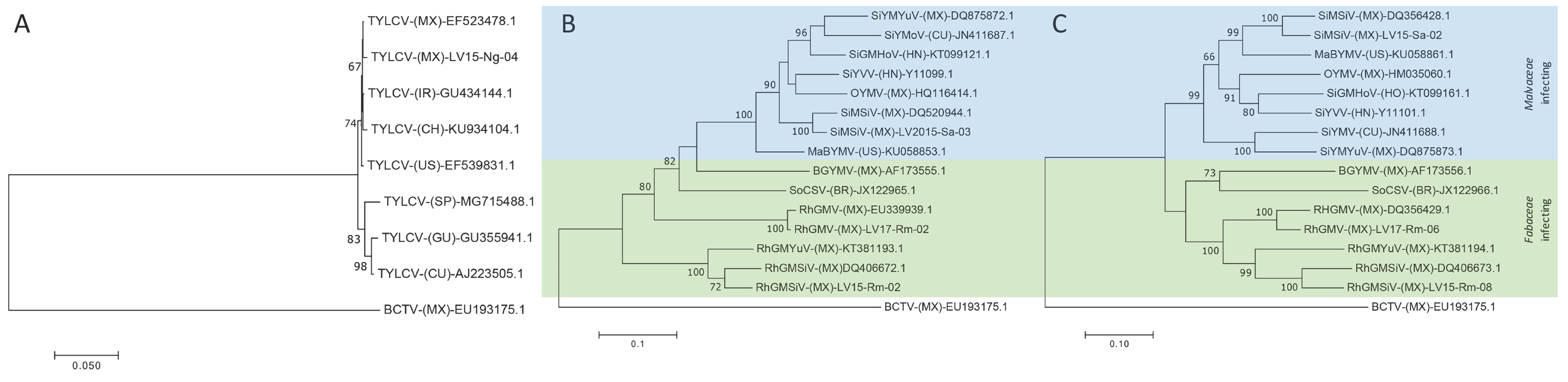 Viruses 11 00594 g002