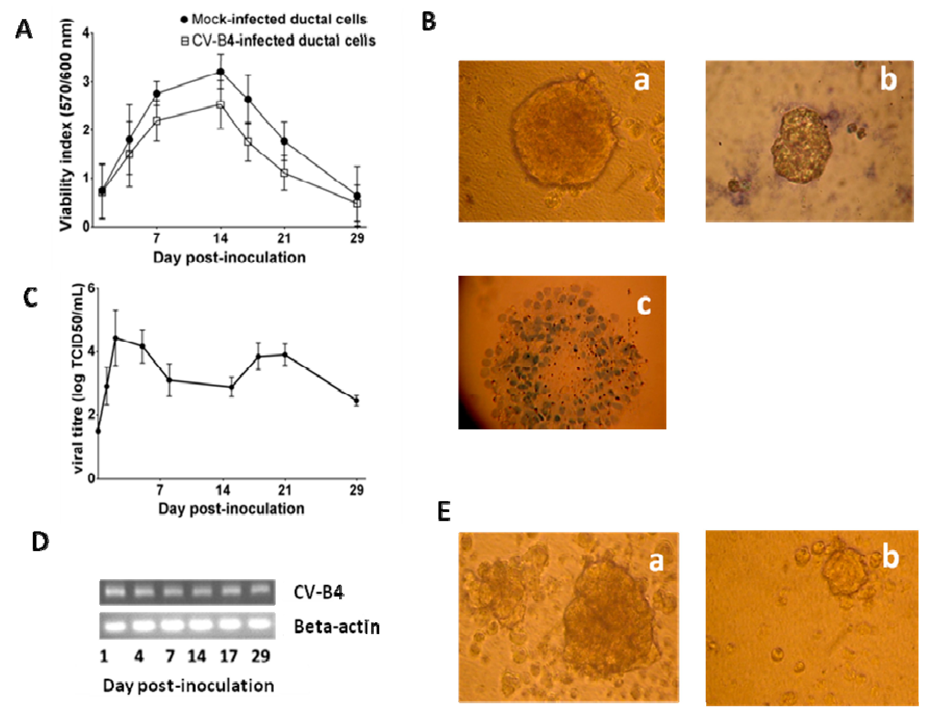 Viruses 11 00597 g003 Viruses 11 00597 g003