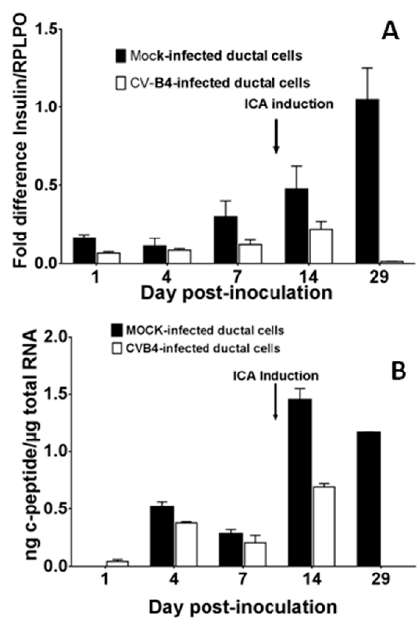 Viruses 11 00597 g004 Viruses 11 00597 g004