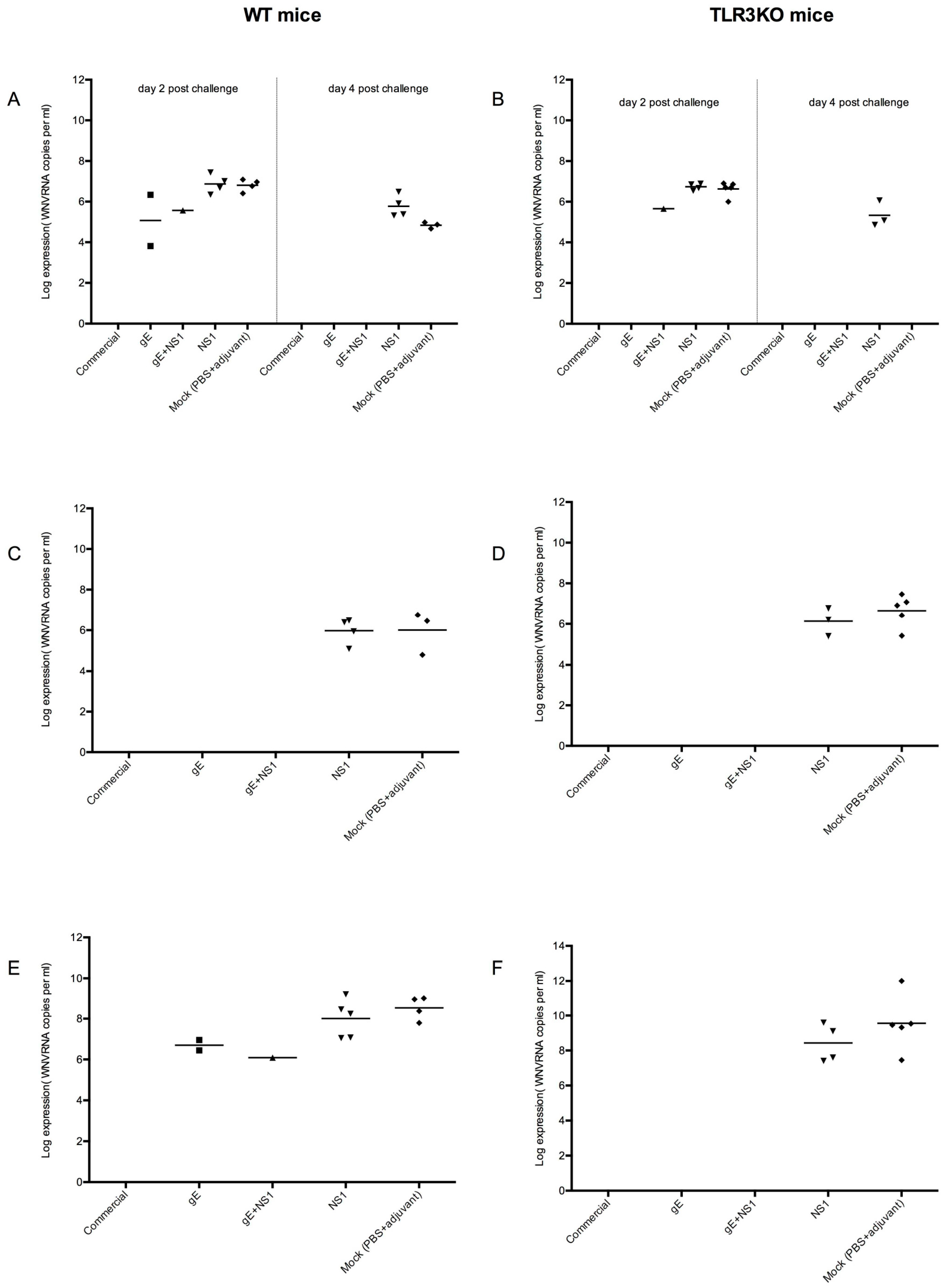 Viruses 11 00603 g005