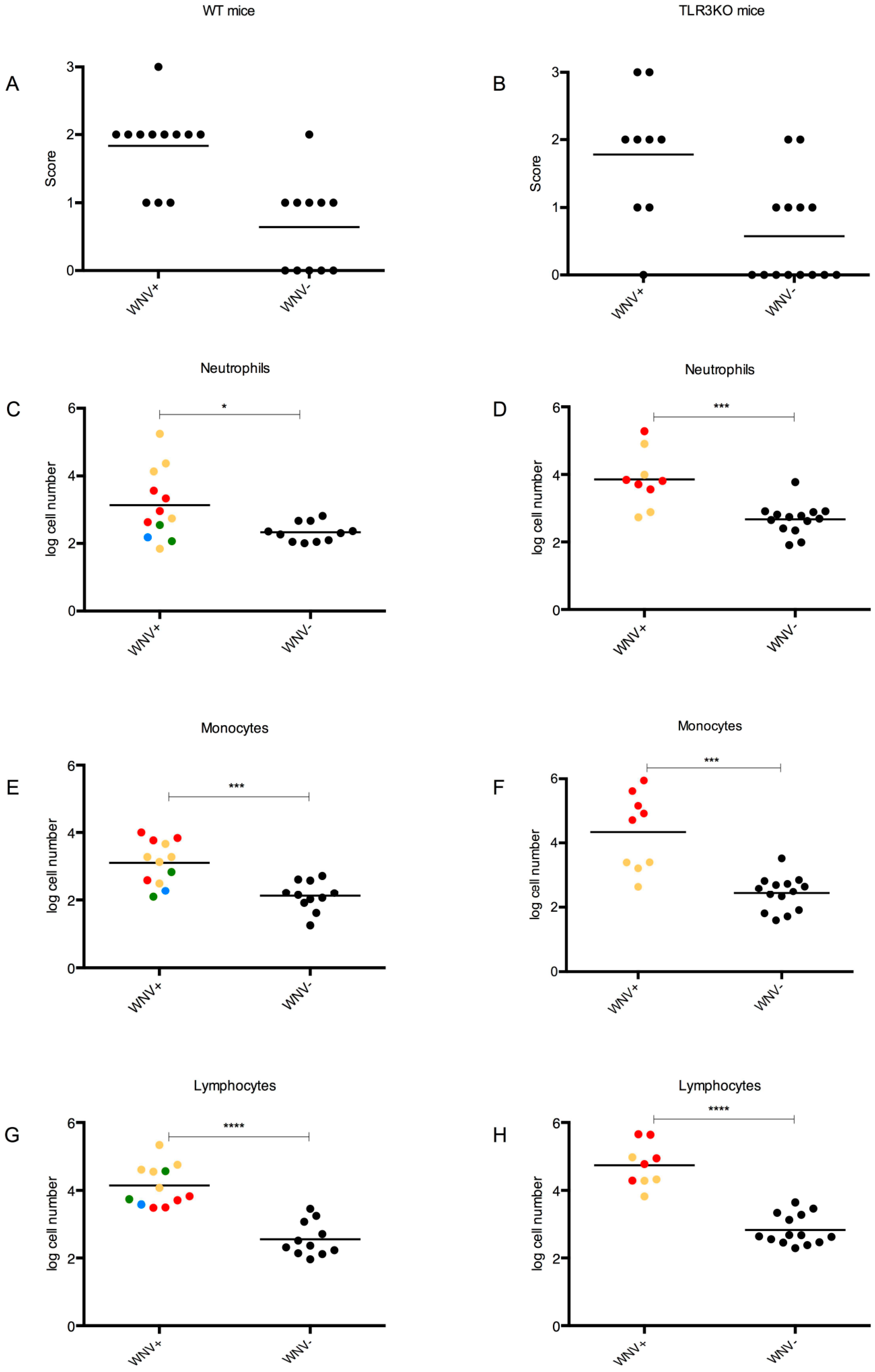 Viruses 11 00603 g006