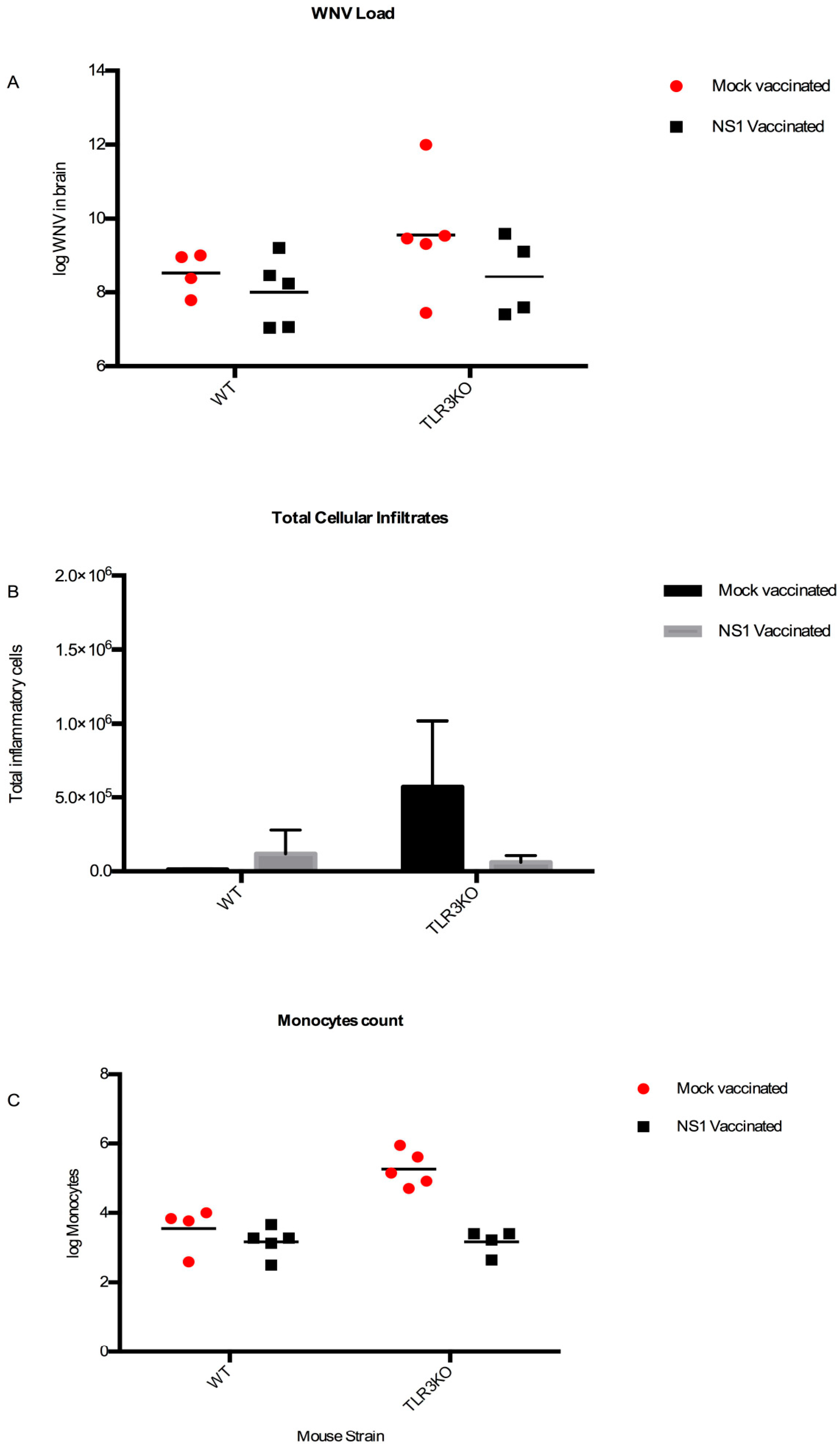 Viruses 11 00603 g007