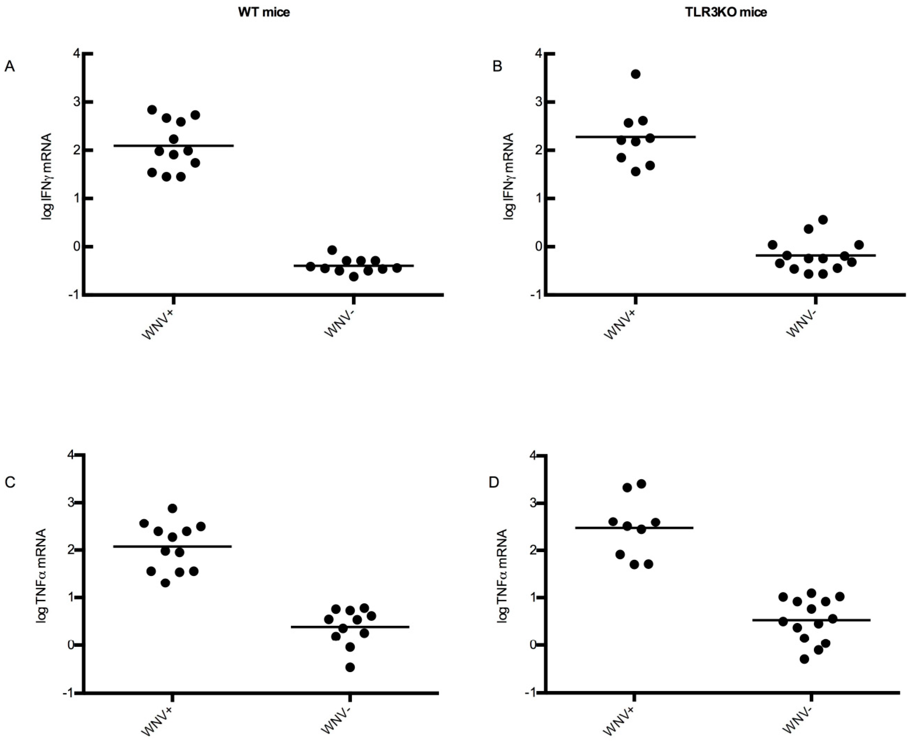 Viruses 11 00603 g008