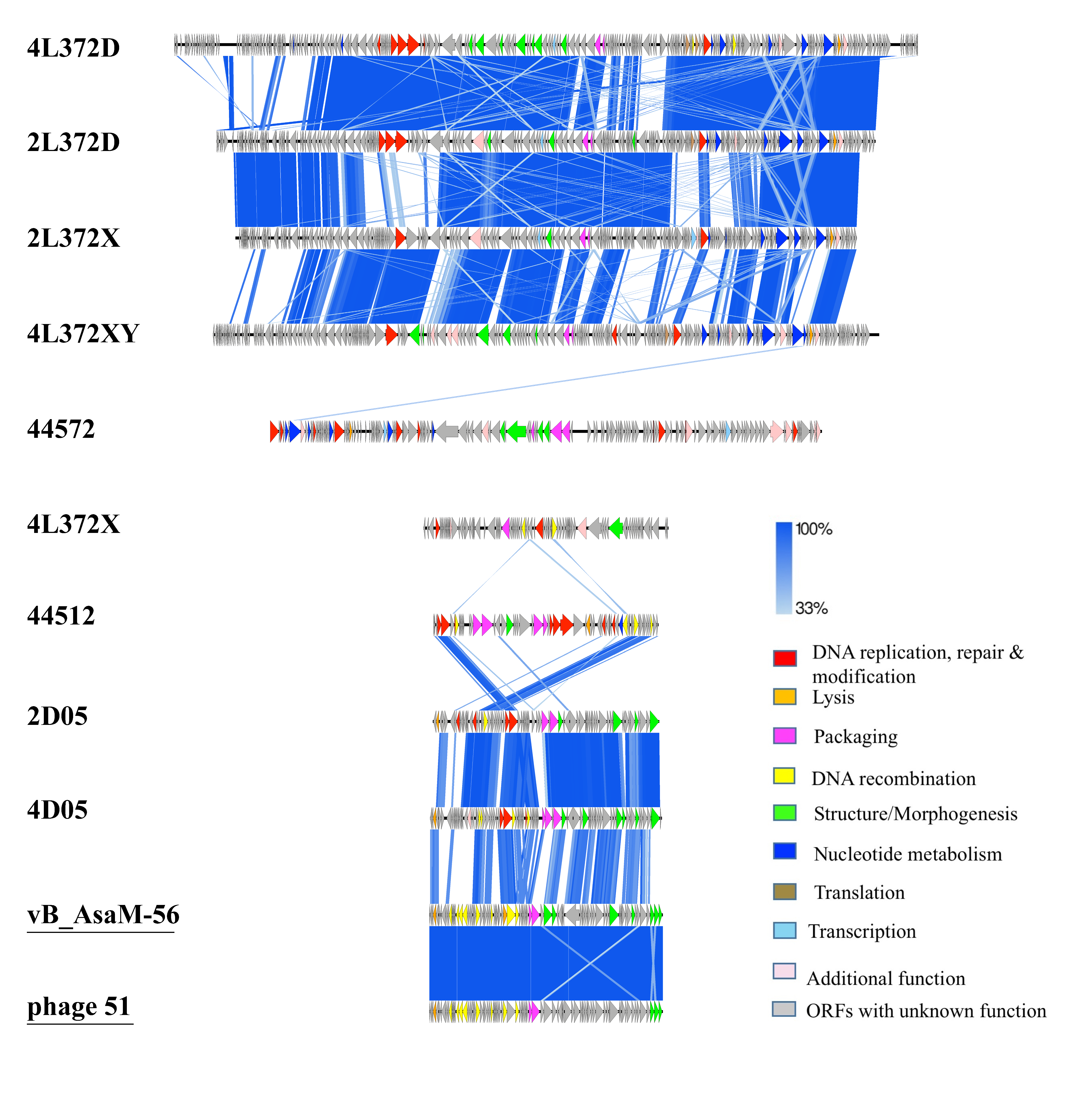 Viruses 11 00615 g002