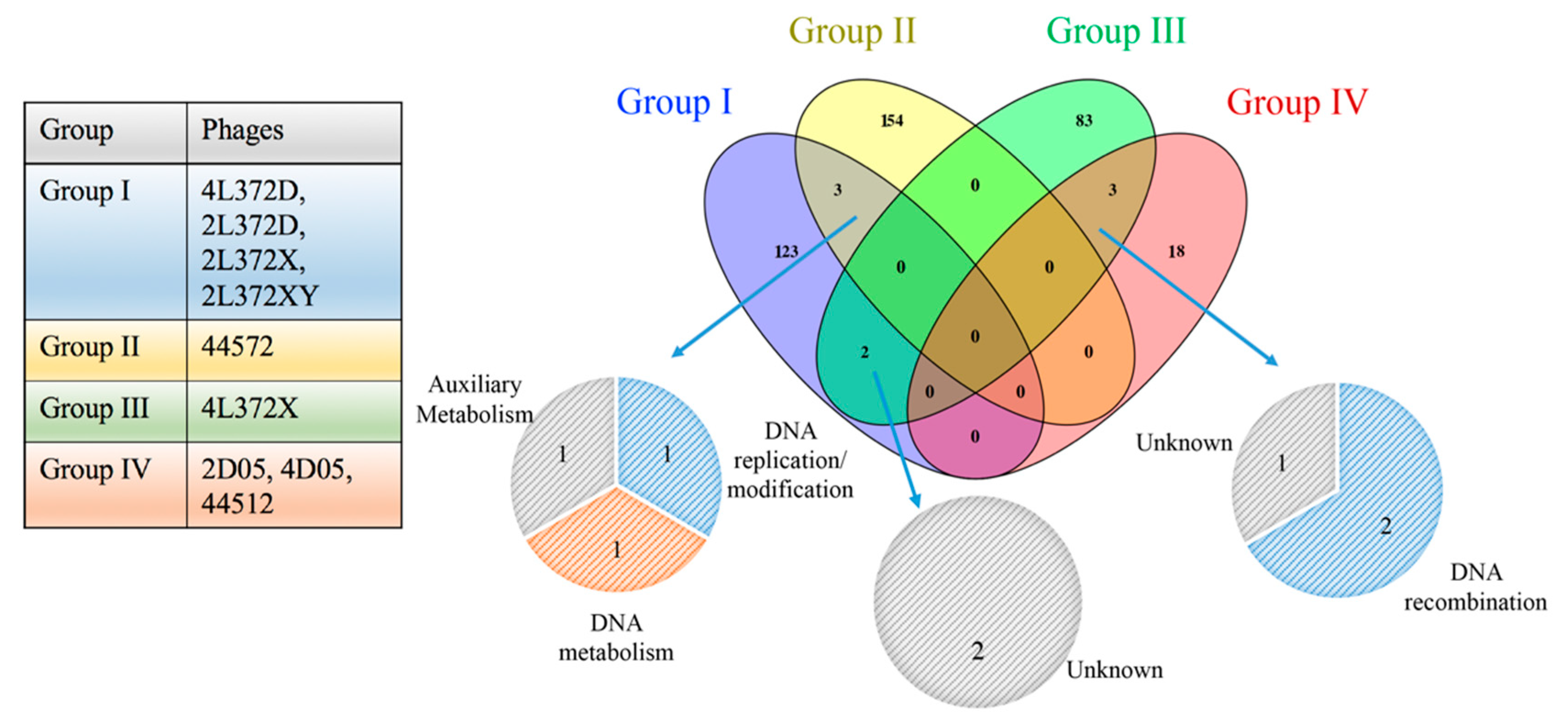 Viruses 11 00615 g003