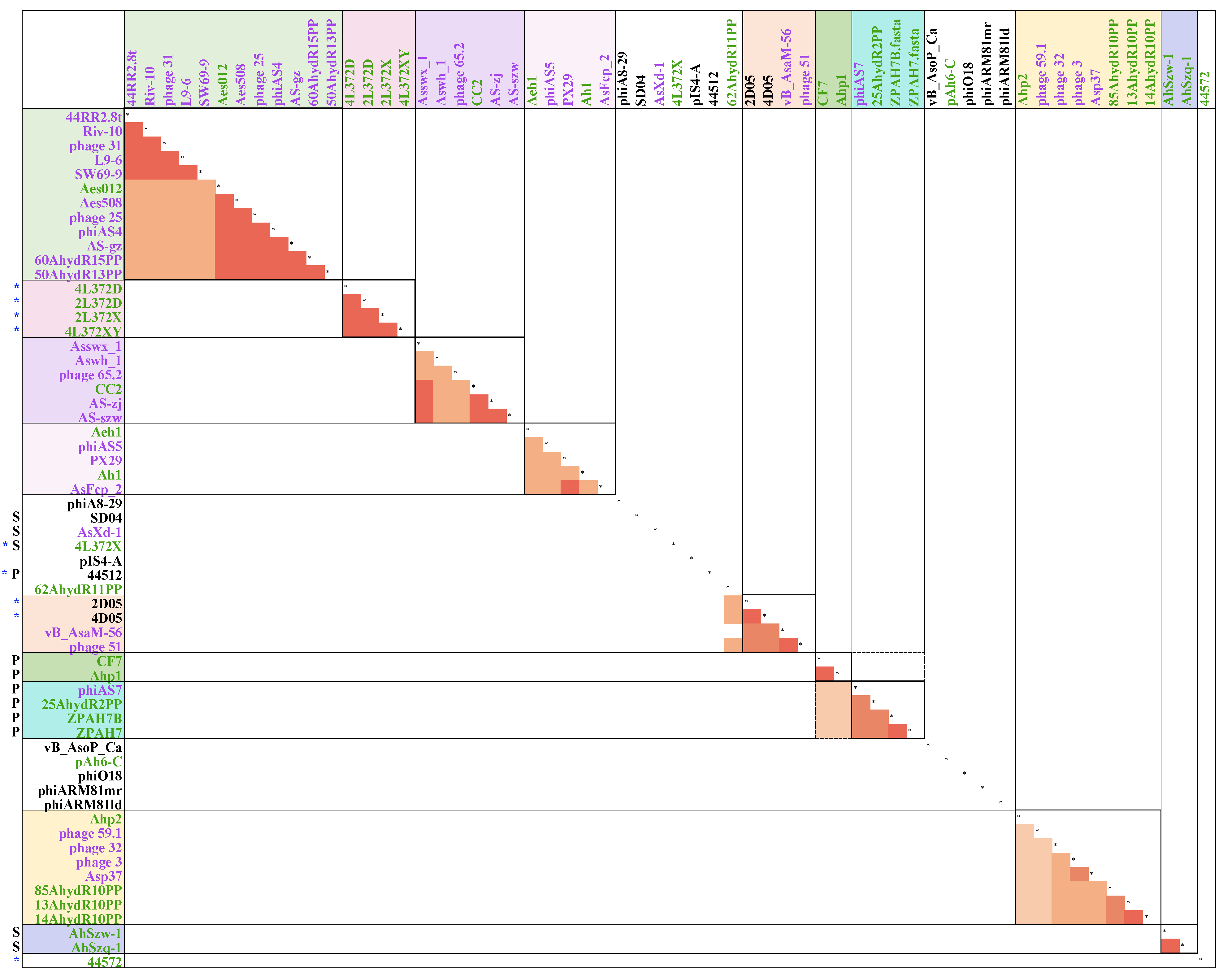 Viruses 11 00615 g004