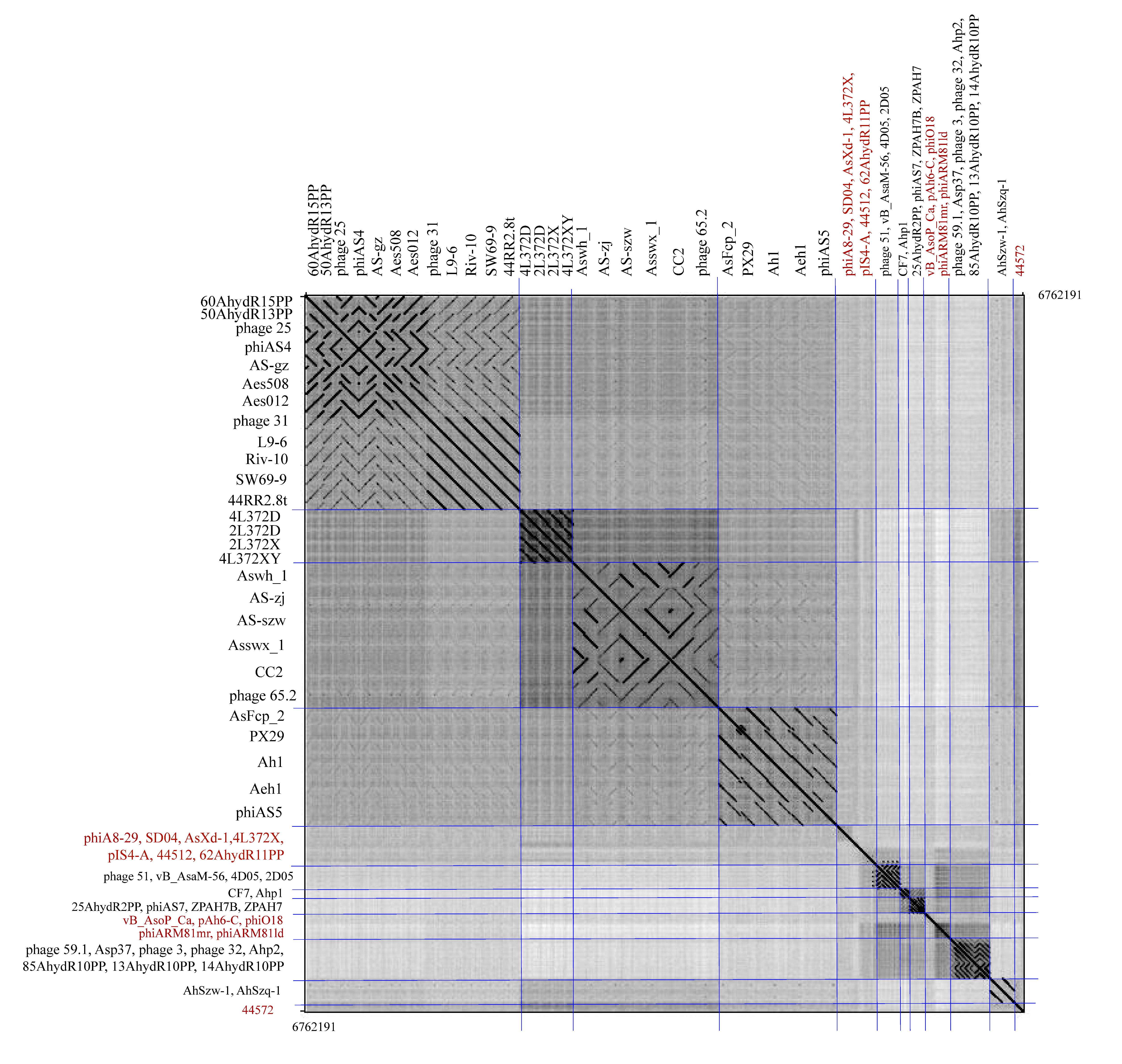 Viruses 11 00615 g005