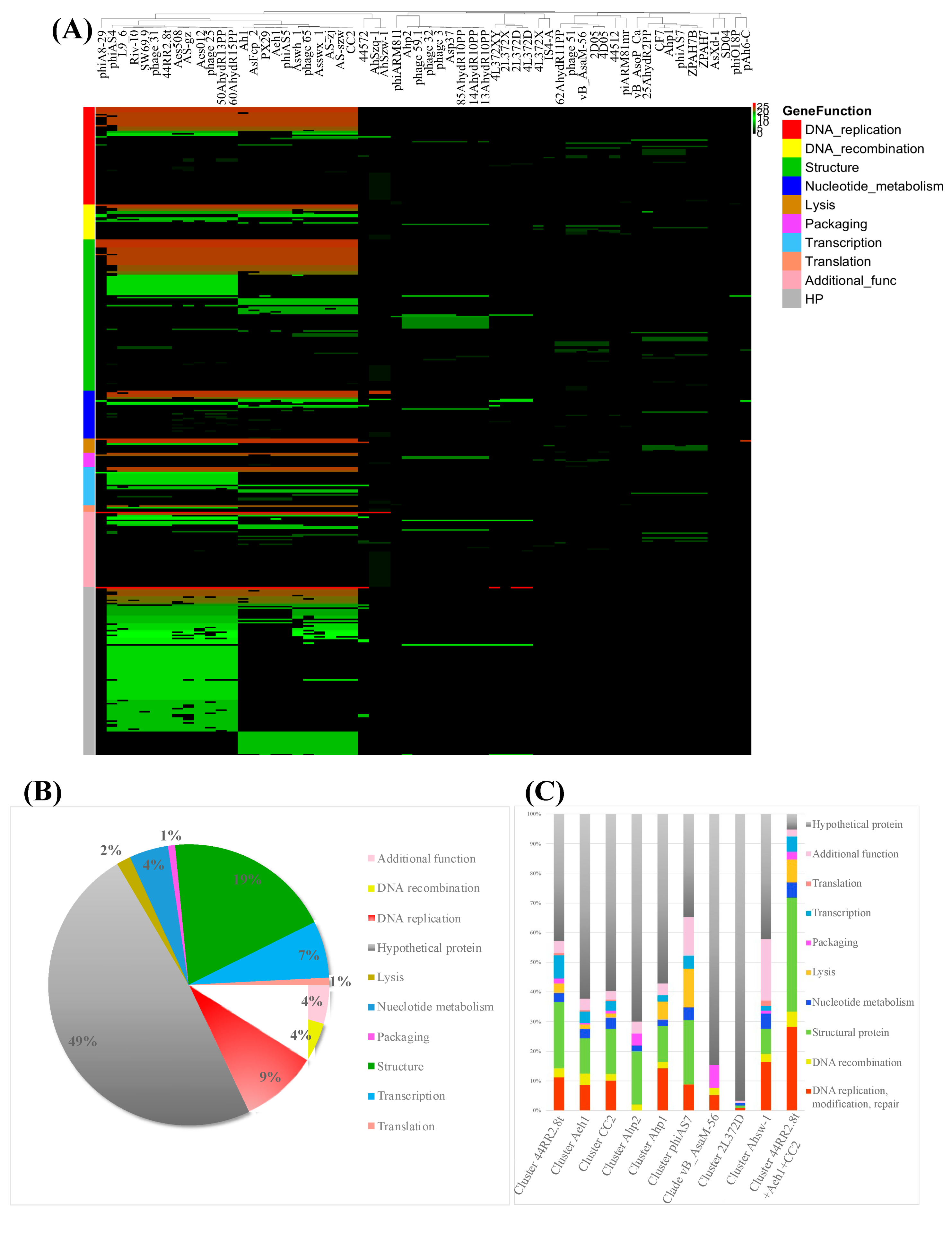 Viruses 11 00615 g007